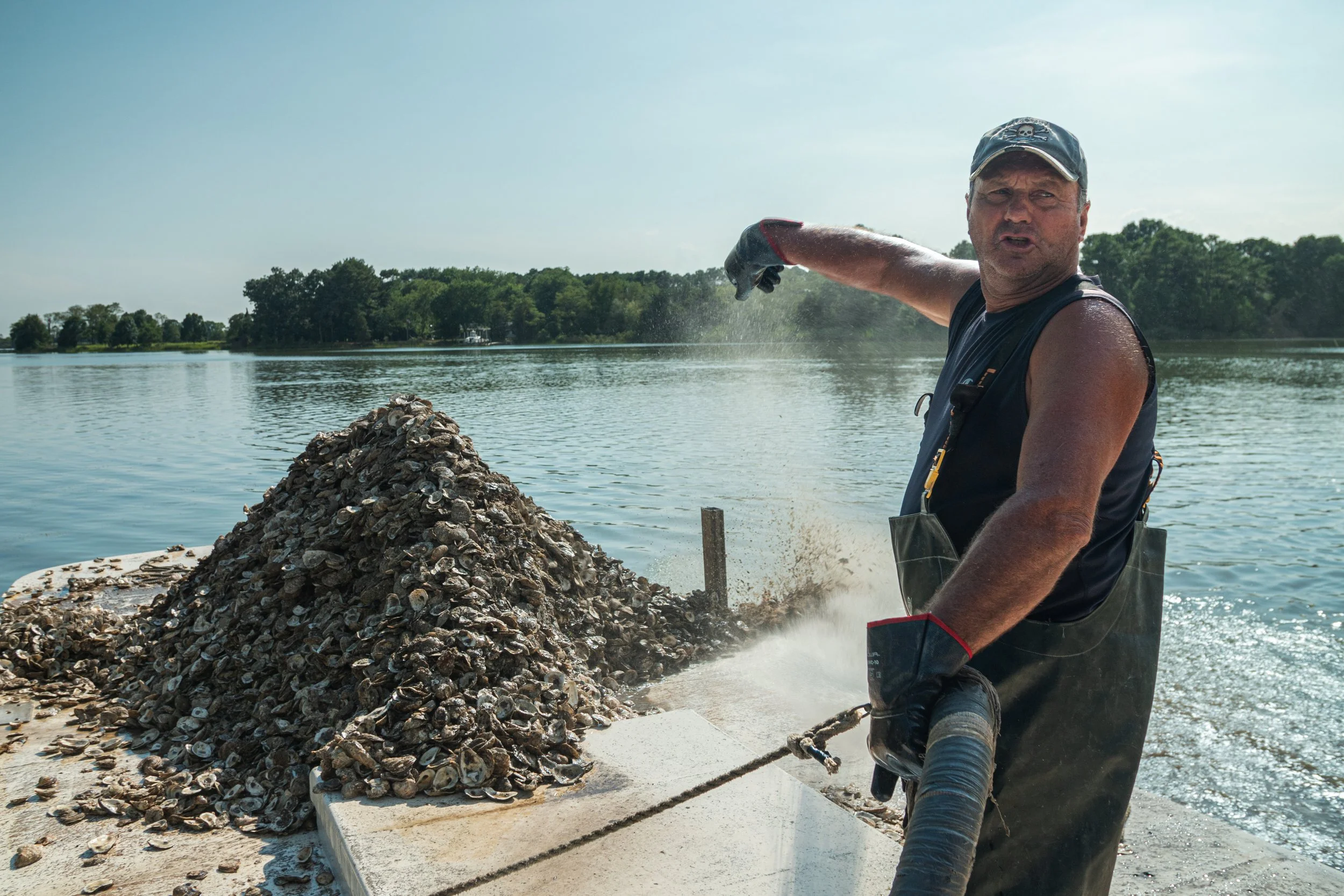 oyster conservation-1.jpg