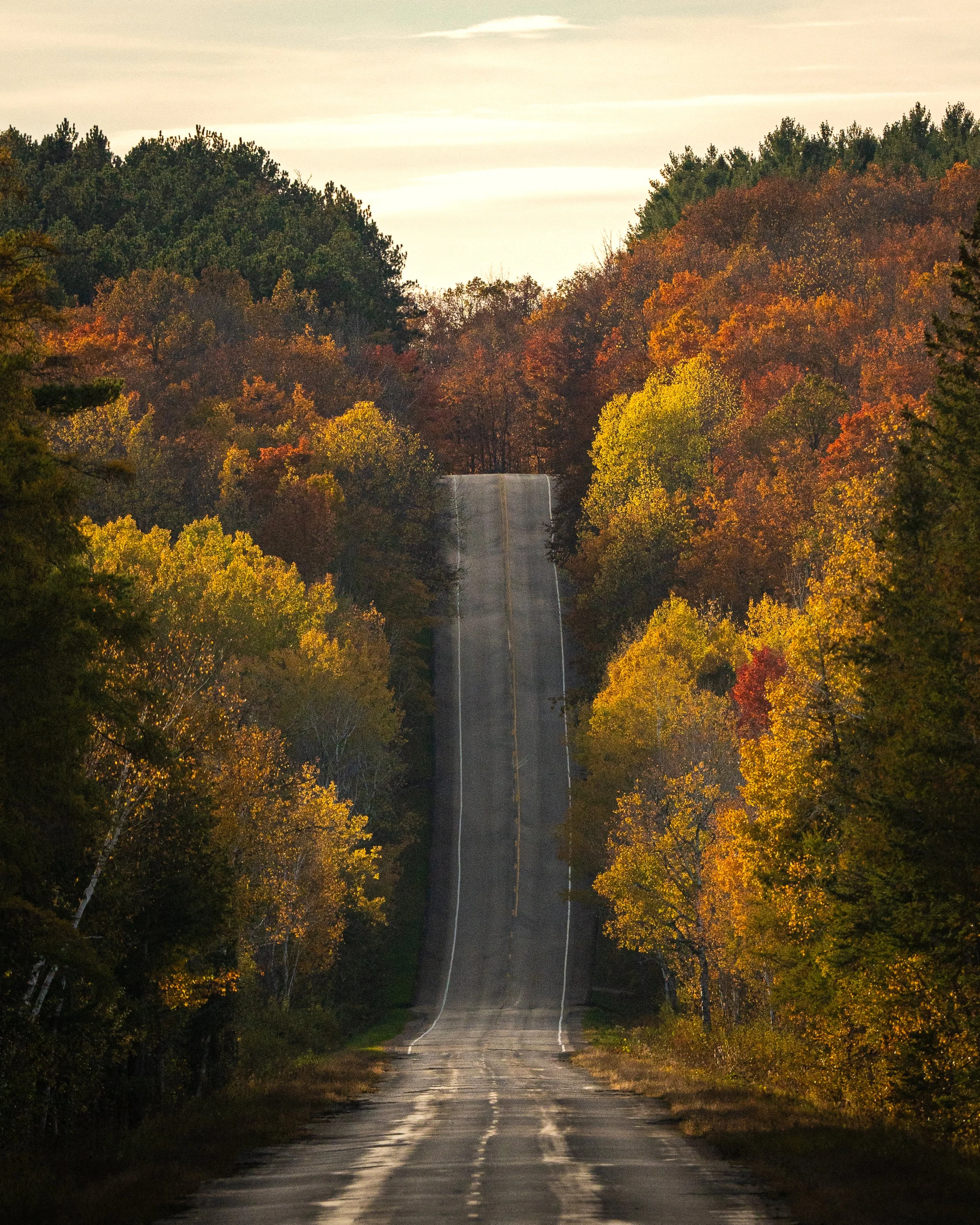 fall marq-1.jpg