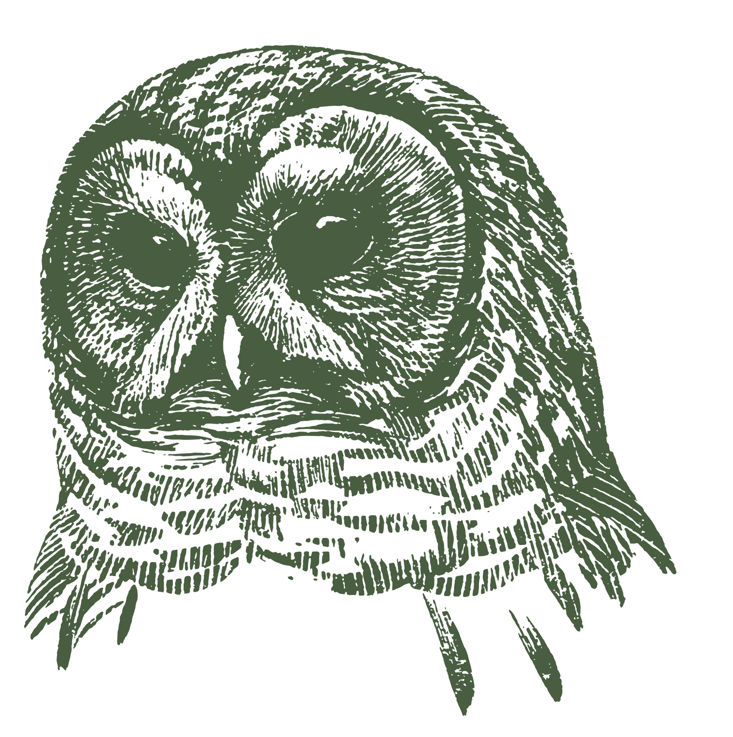 An artistic illustration of a owl in green color on a black background.