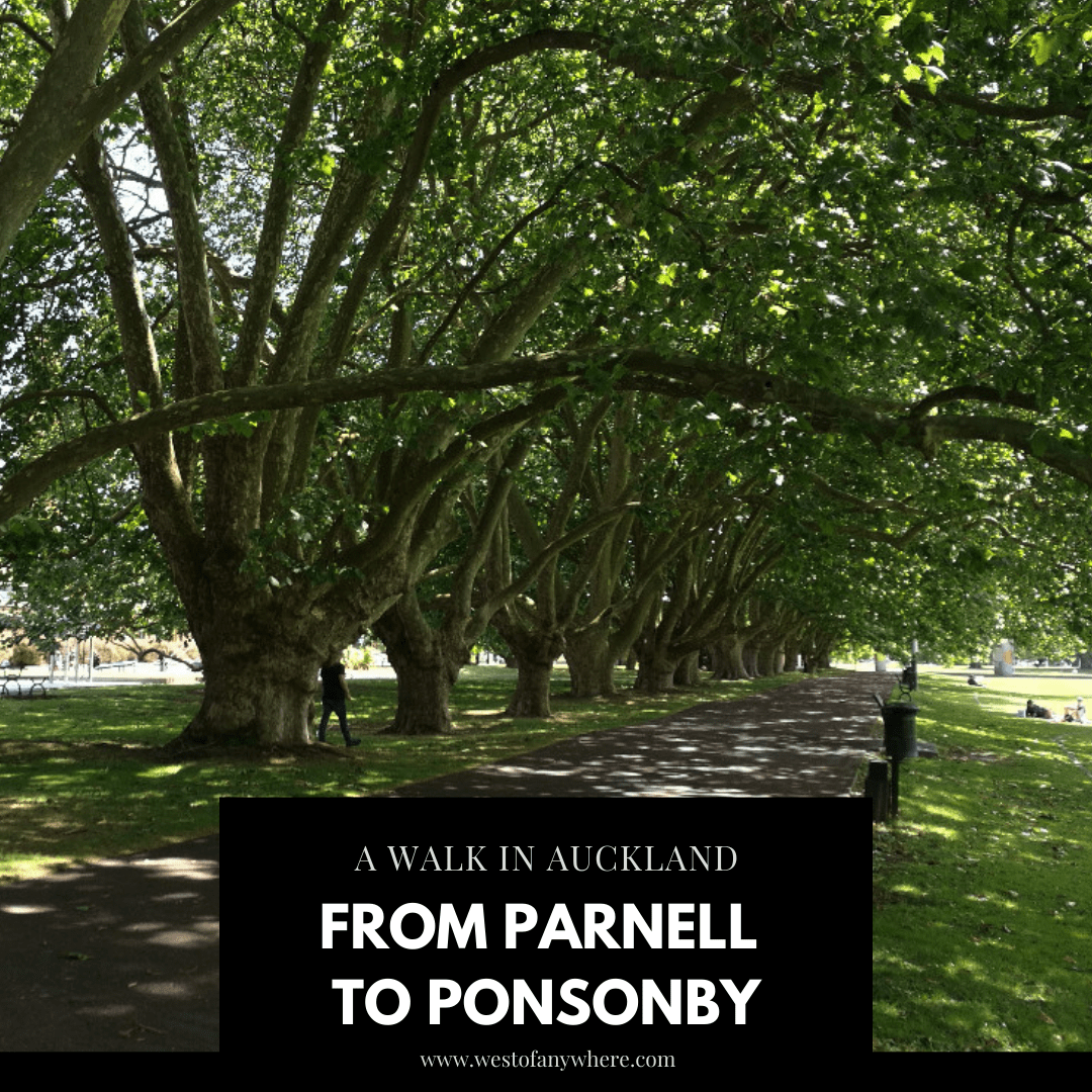 A Walk in Auckland: From Parnell to Ponsonby