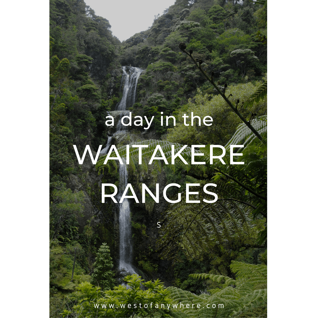A day in the Waitakere Ranges
