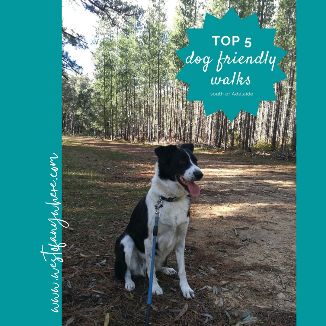 The top 5 dog friendly walks south of Adelaide