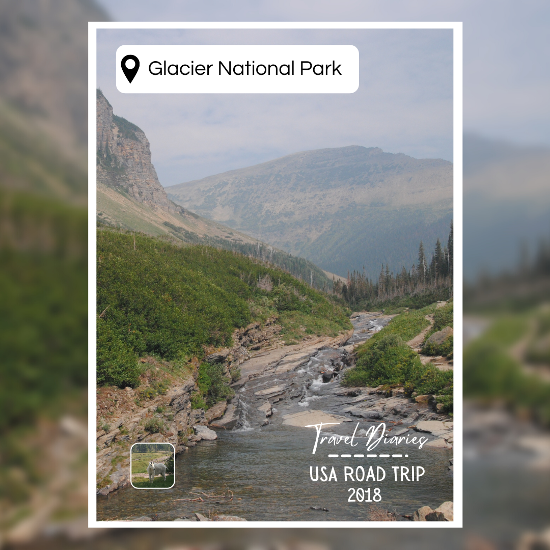GOING TO GLACIER