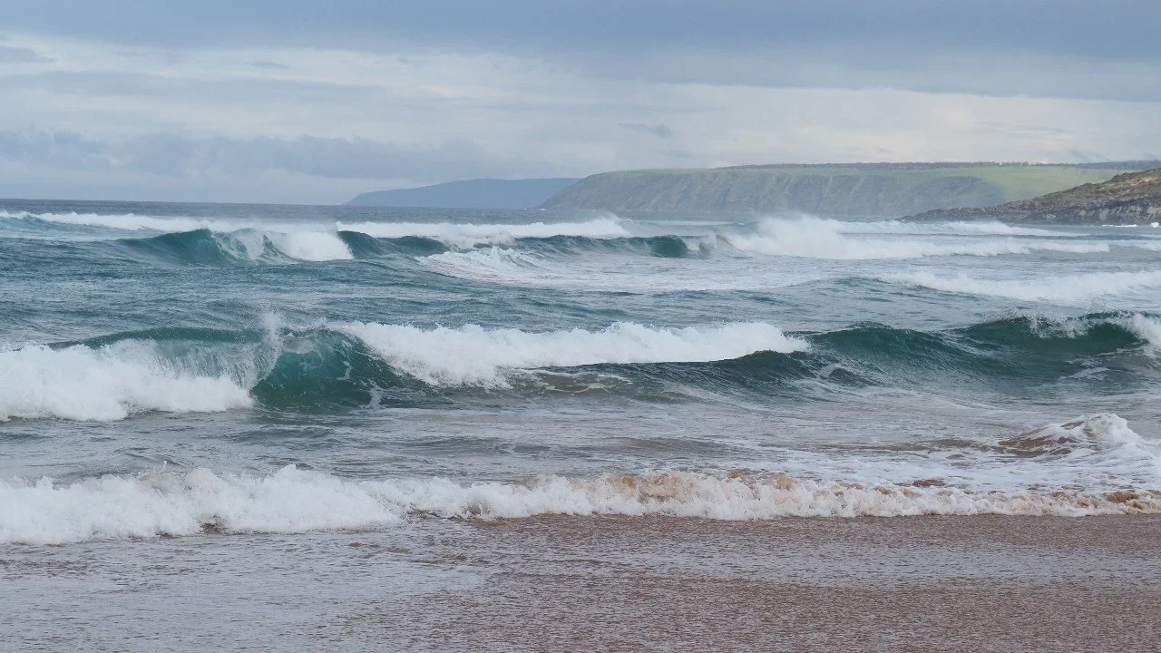 The Best of the Fleurieu Peninsula