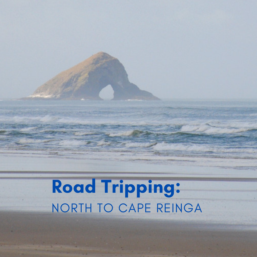 Road Tripping - North to Cape Reinga!