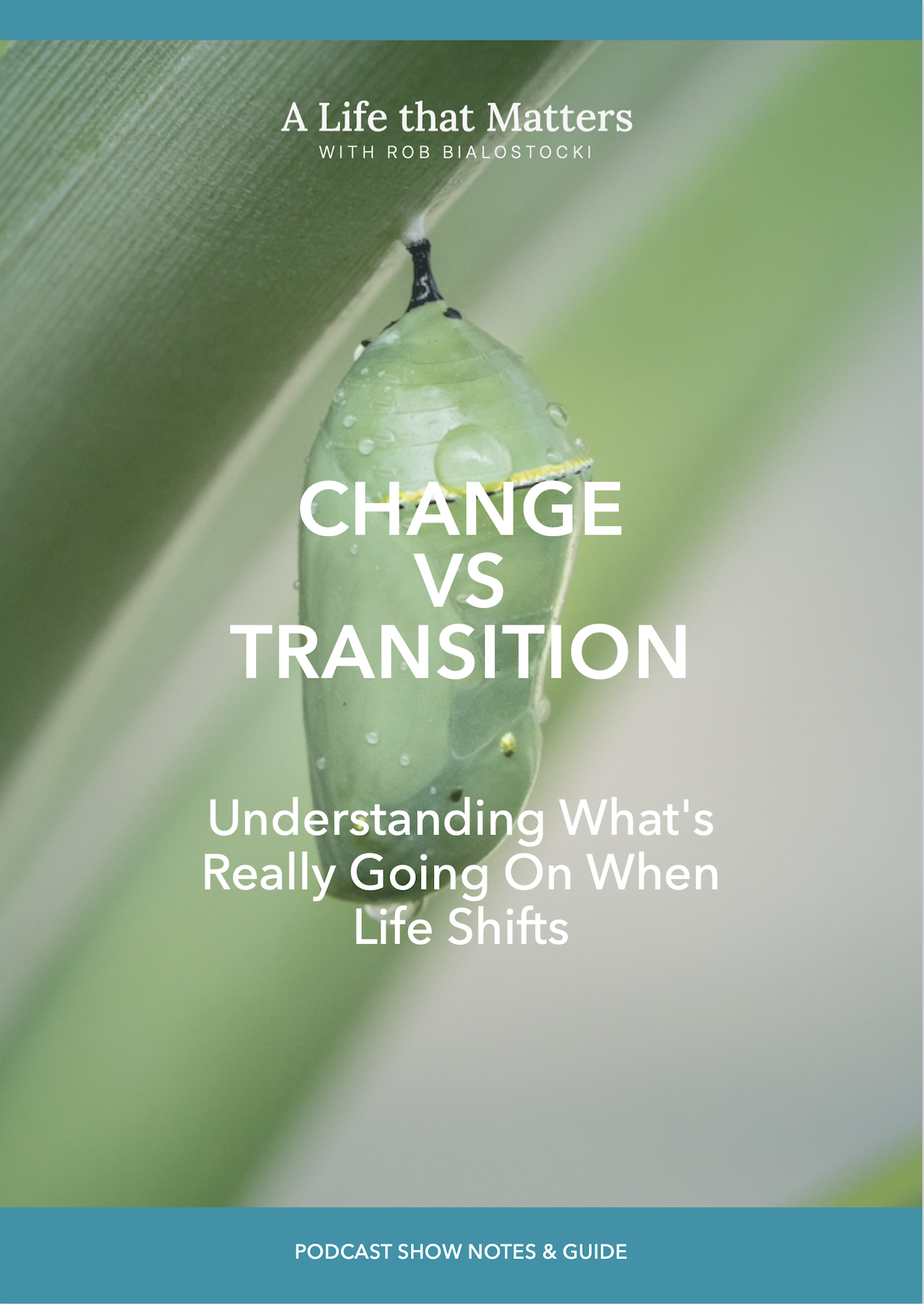 eBook - Change vs Transition