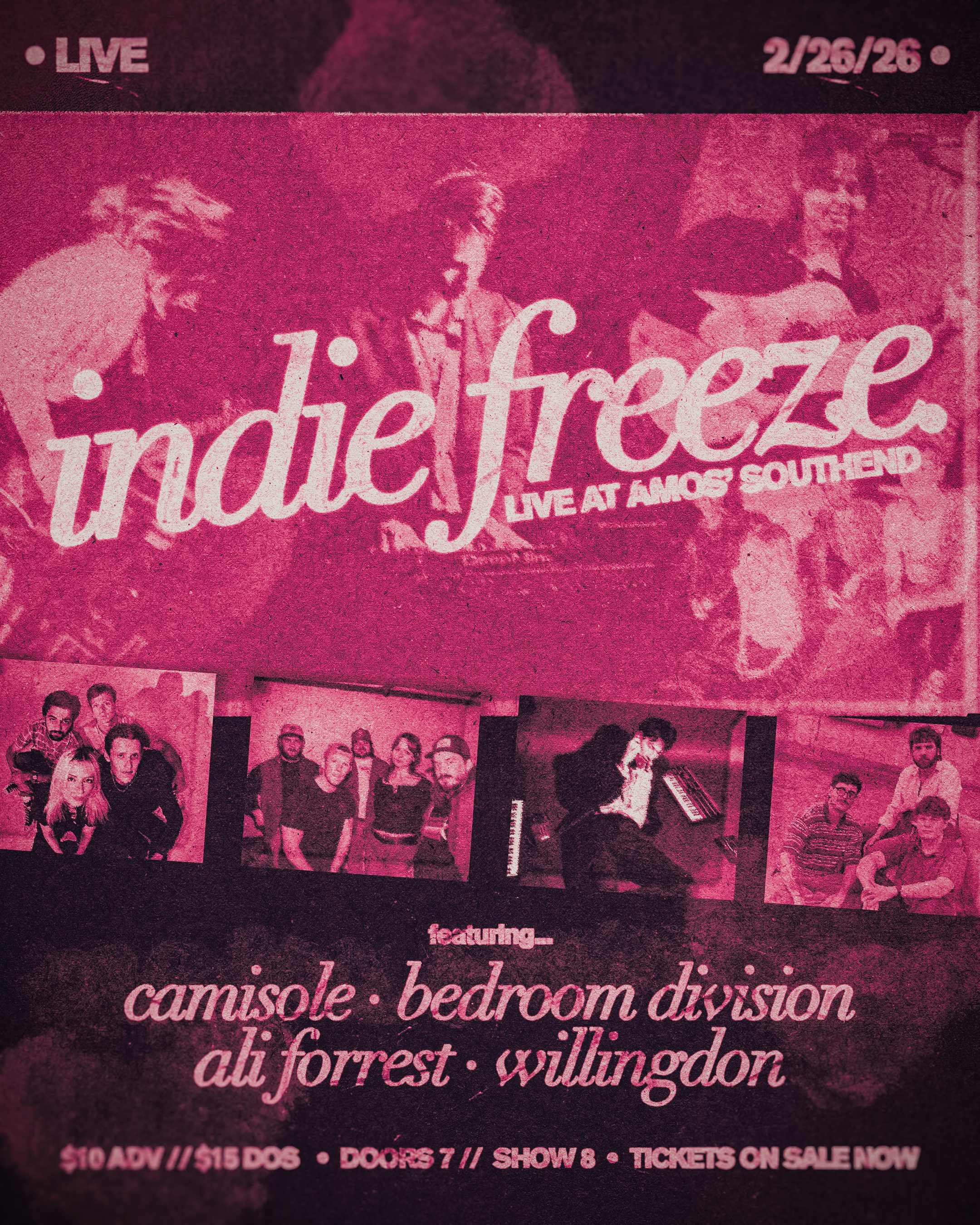 Pink-tinted promotional flyer for a live music event featuring bands camissle, bedroom division, all forest, willingdon, alpha fortress, and division, scheduled for February 26, 2026, at 8 PM. Includes details on ticket prices, door opening time, and that tickets are on sale now, with a background of band photographs.