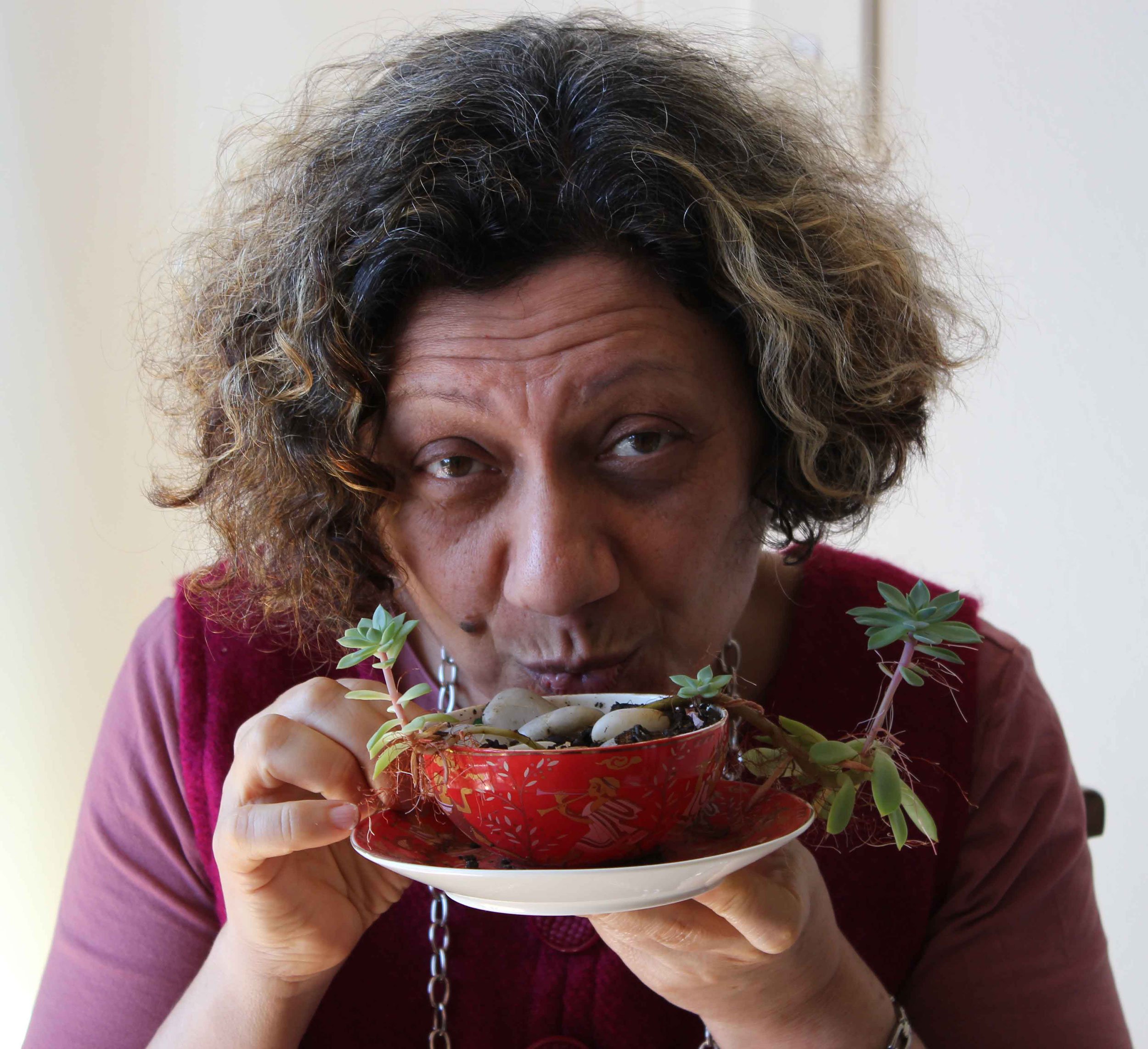 A woman with curly hair holding a red pot with succulent plants.