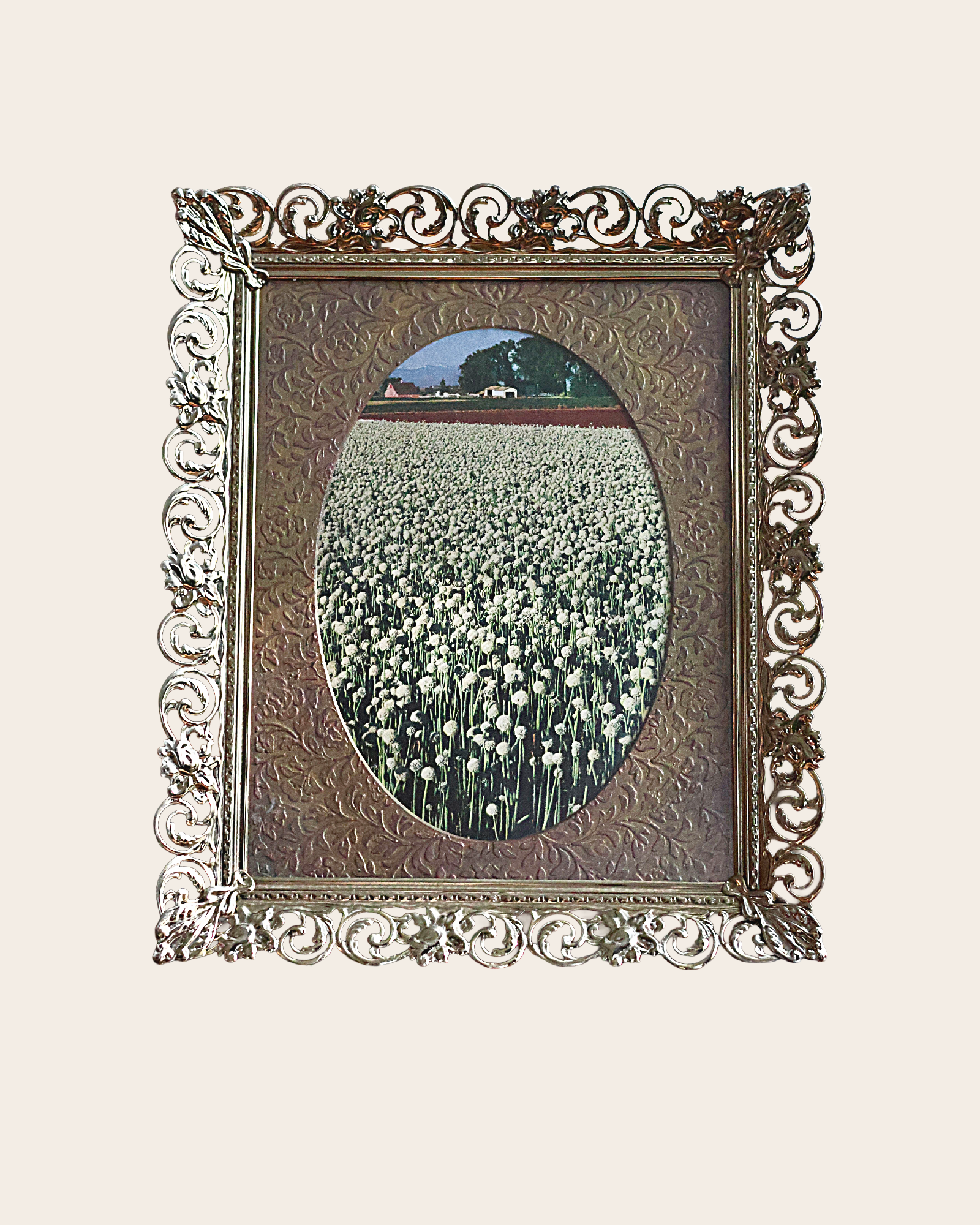 Vintage Brass Filigree Picture Frame - Hand-Painted Oval Mat
