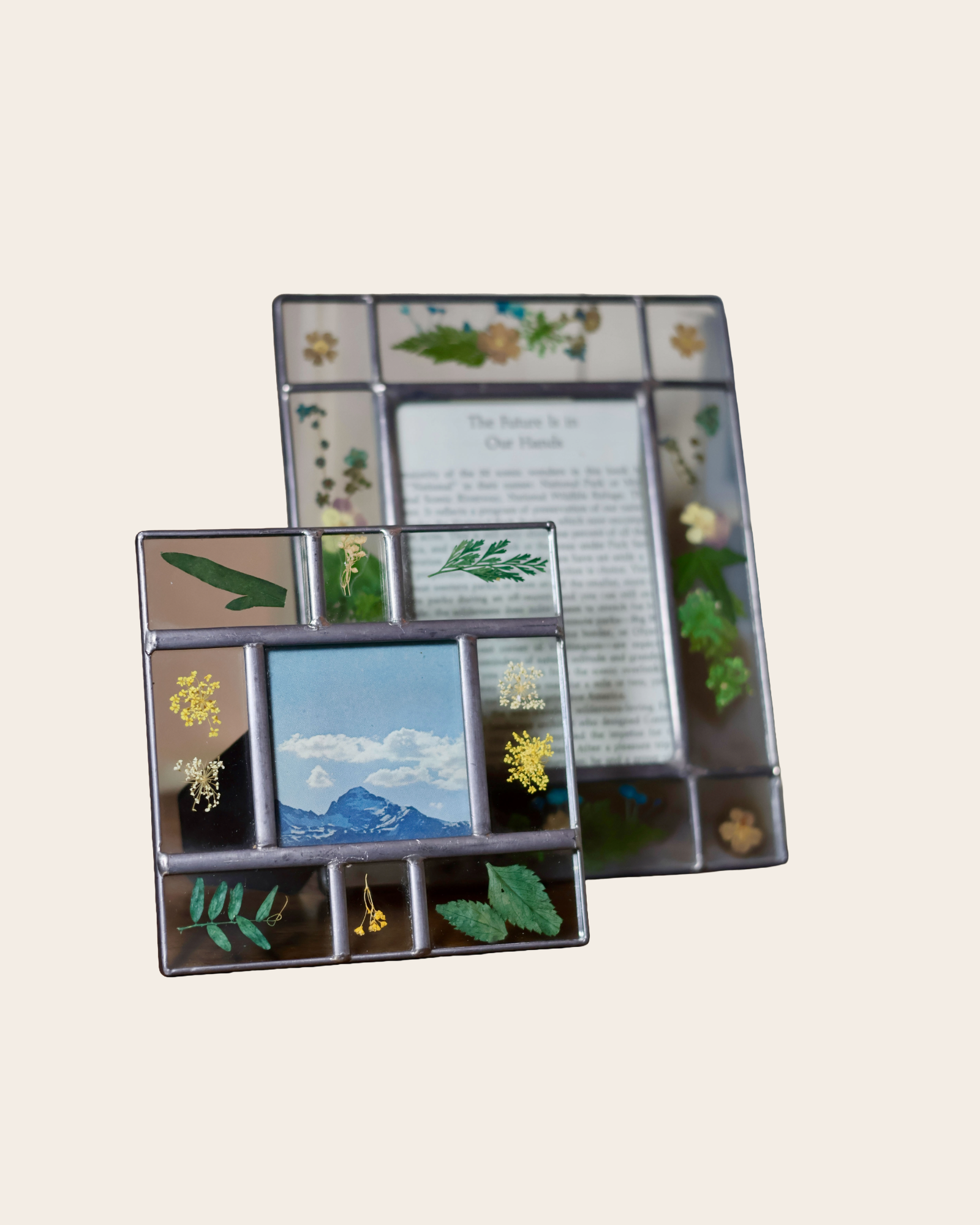 Set of Pressed Floral Frames