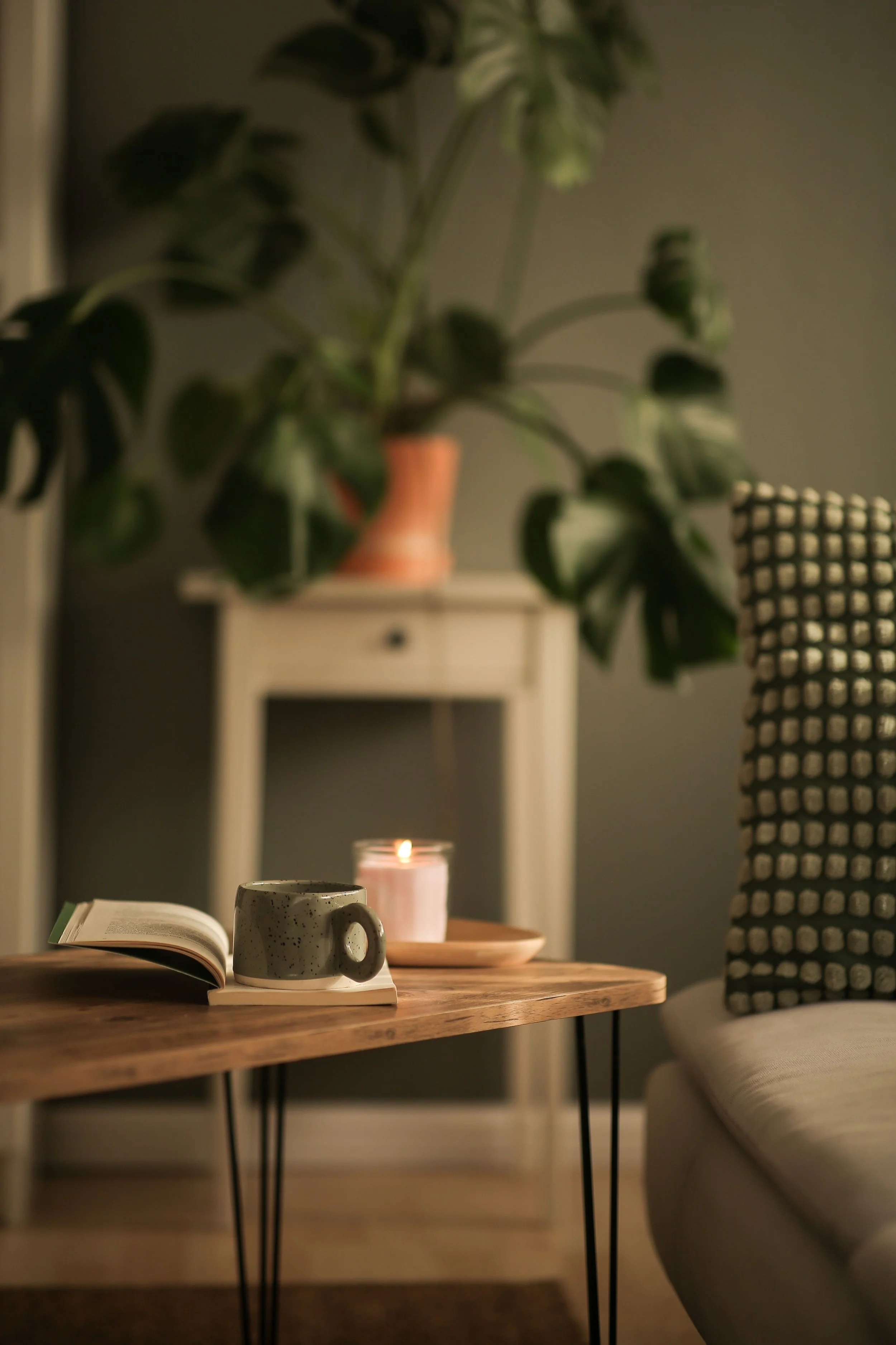 A cozy indoor scene with a wooden table holding an open book, a ceramic mug, and a lit pink candle. Behind the table, there is a white cabinet with a potted plant on top, and a black and white patterned cushion on a piece of furniture to the right. The overall setting suggests a relaxing and warm atmosphere.