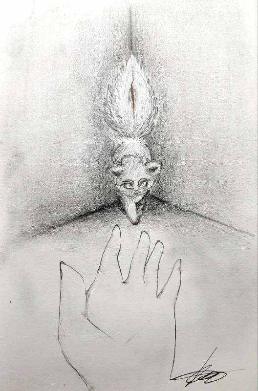 5395794154891190012.jpg