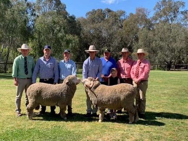 The Yanko Merino on farm sale with sale rams , including children, standing outdoors on grass with two sheep, some wearing hats and casual clothing.