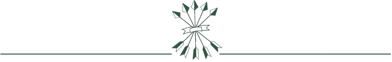 A graphic logo with a central starburst or flame pattern, surrounded by symmetrical lines and shapes, in shades of green and black.