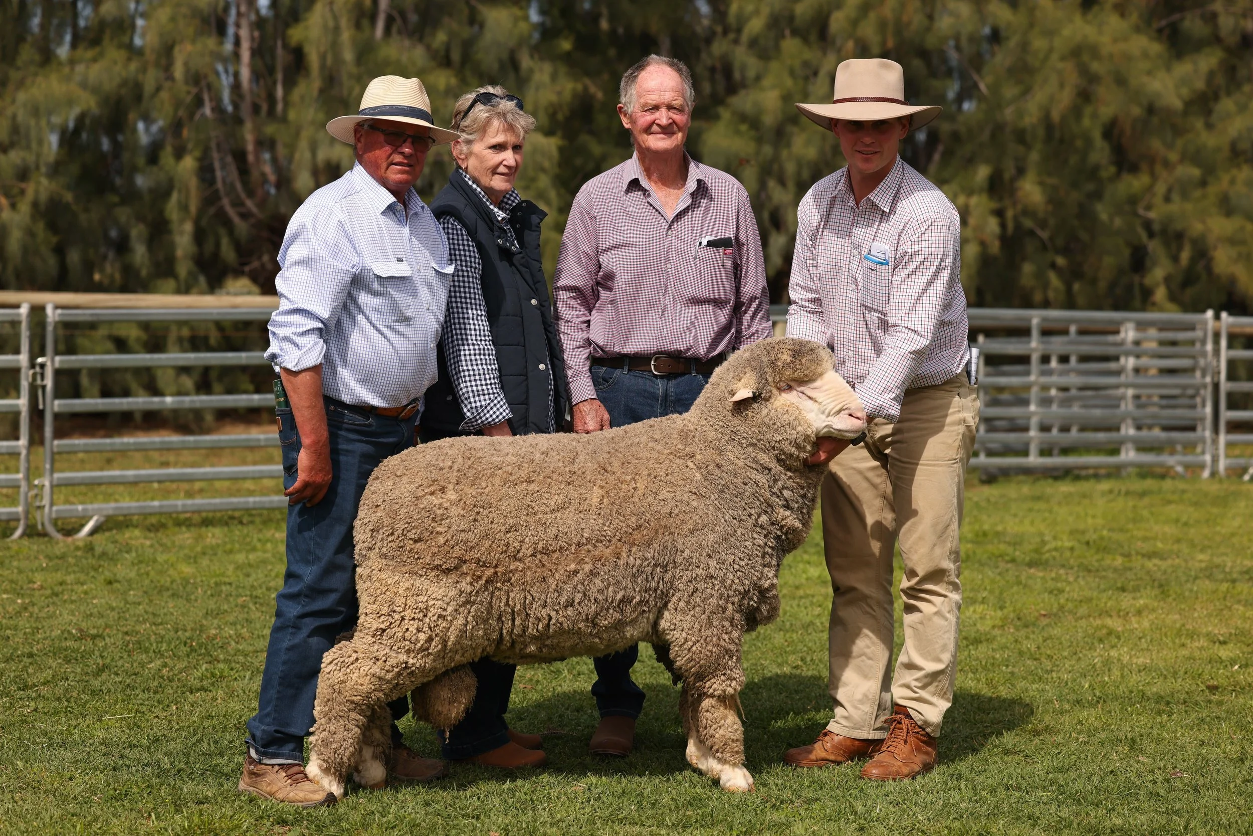 Four older adults standing outdoors on a grassy field, holding a large, fluffy sheep. They are dressed in casual outdoor clothes, with two men wearing wide-brimmed hats and a woman with short, gray hair. Background features trees and a wooden fence.