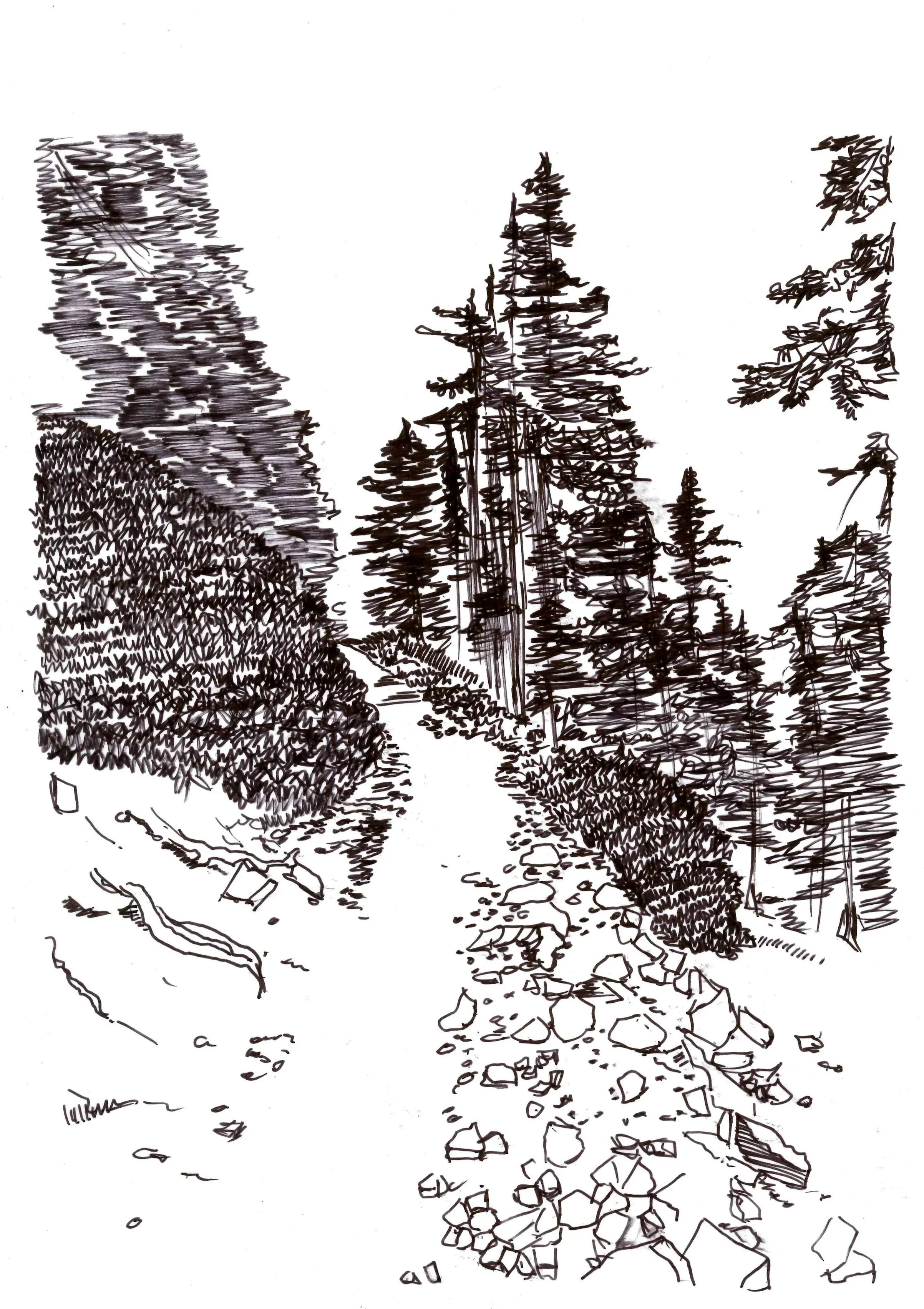path.jpg