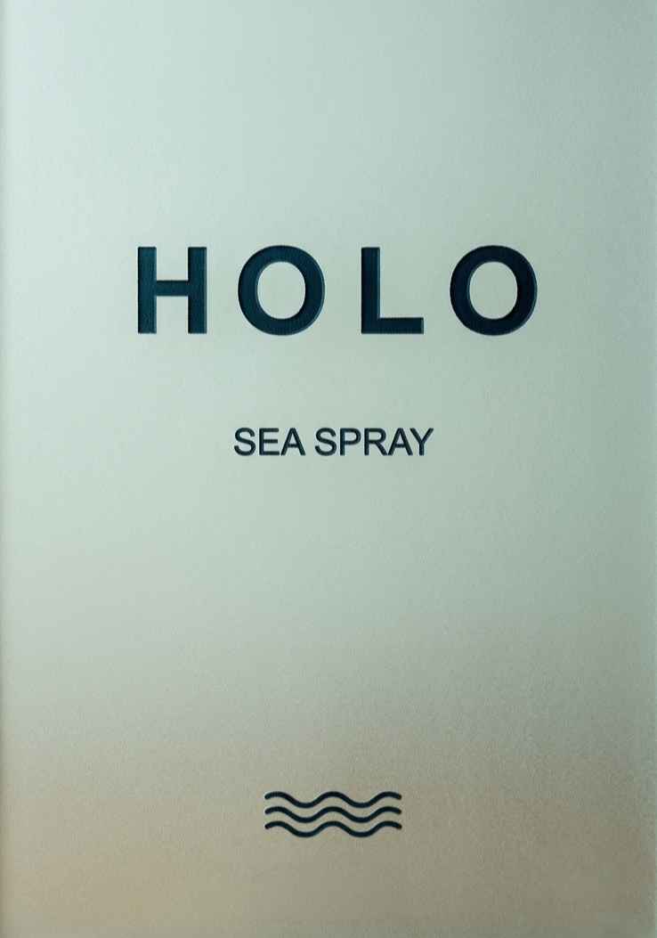 holo.png