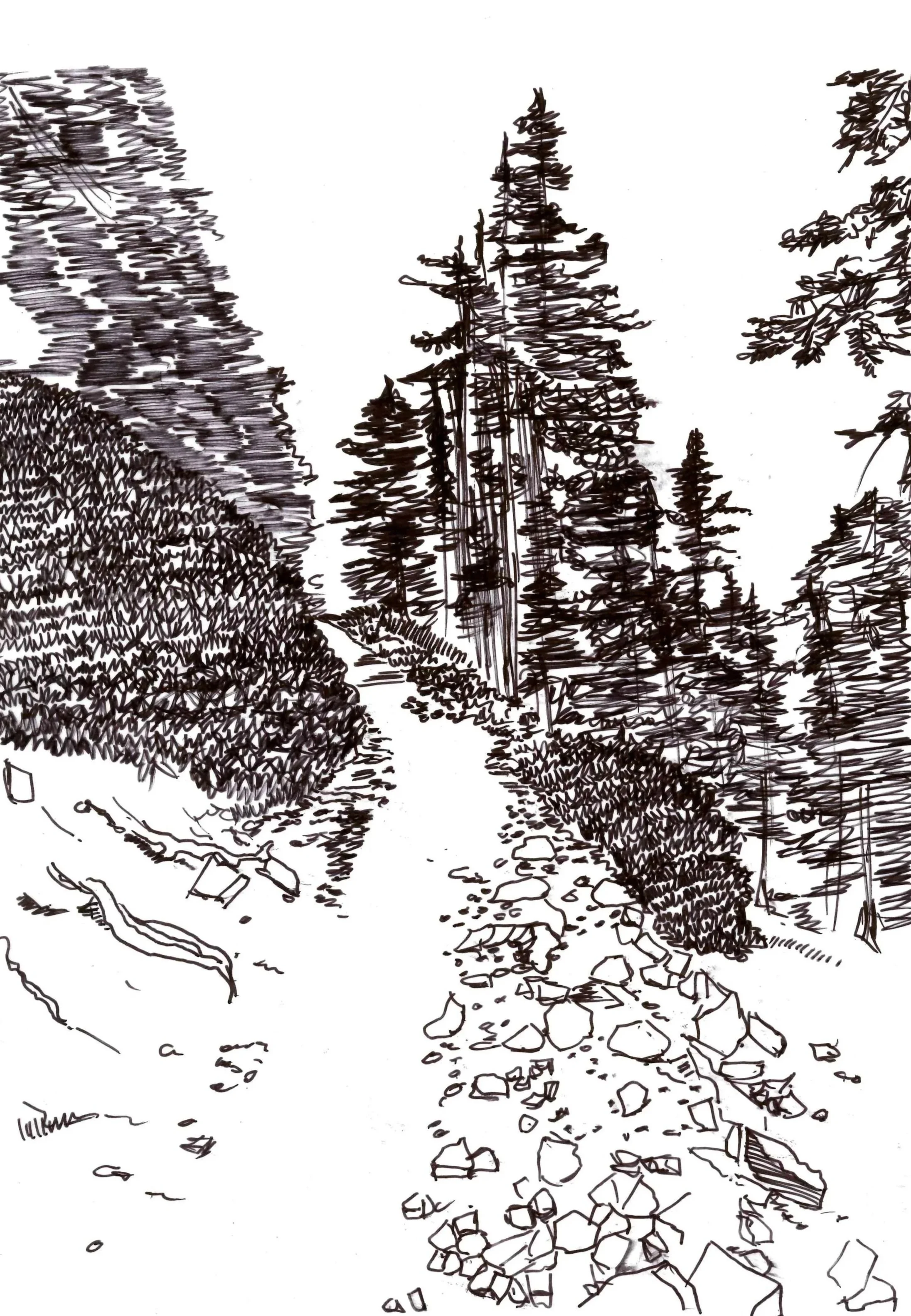 path.jpg