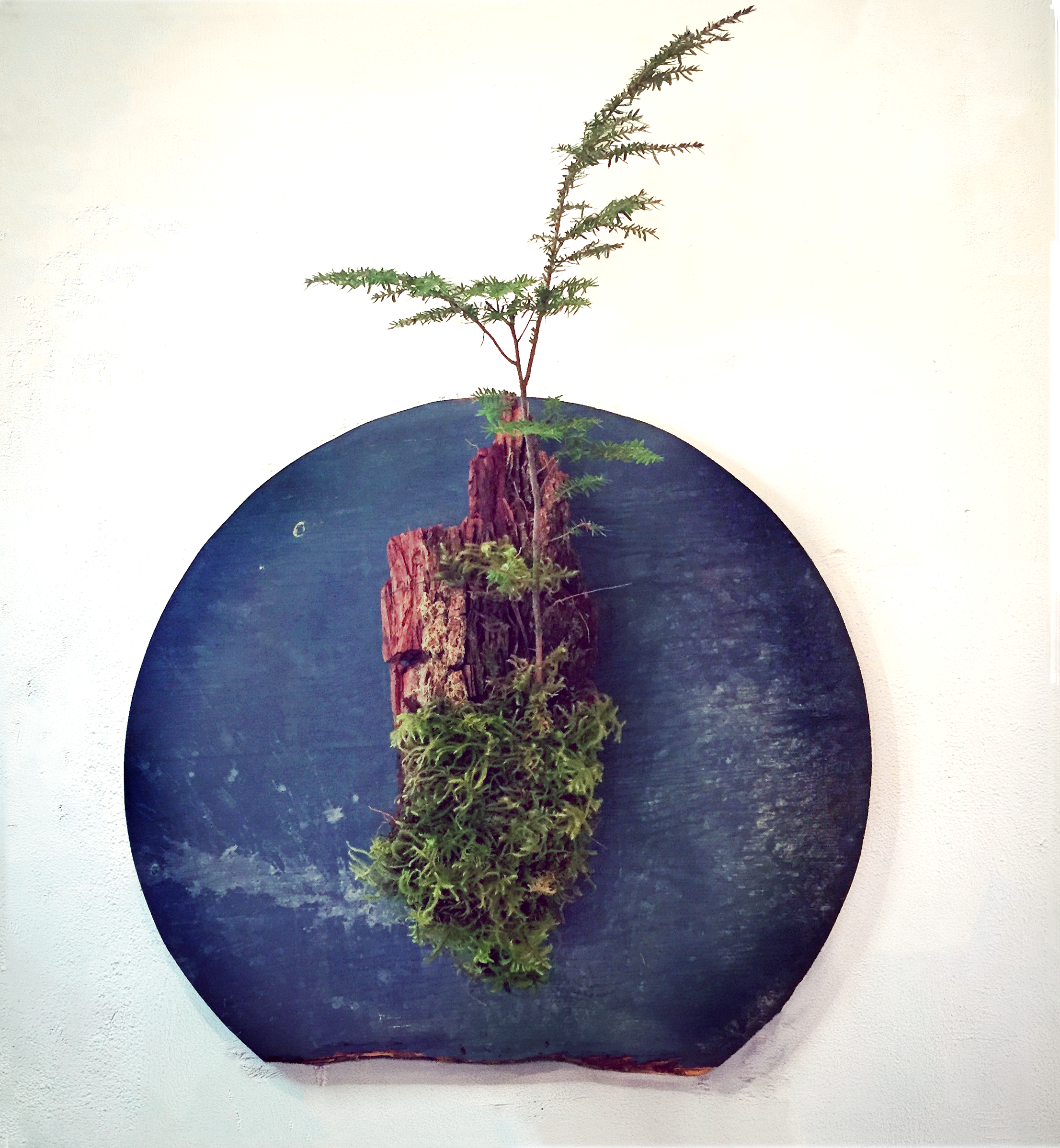 blue tree planet.png