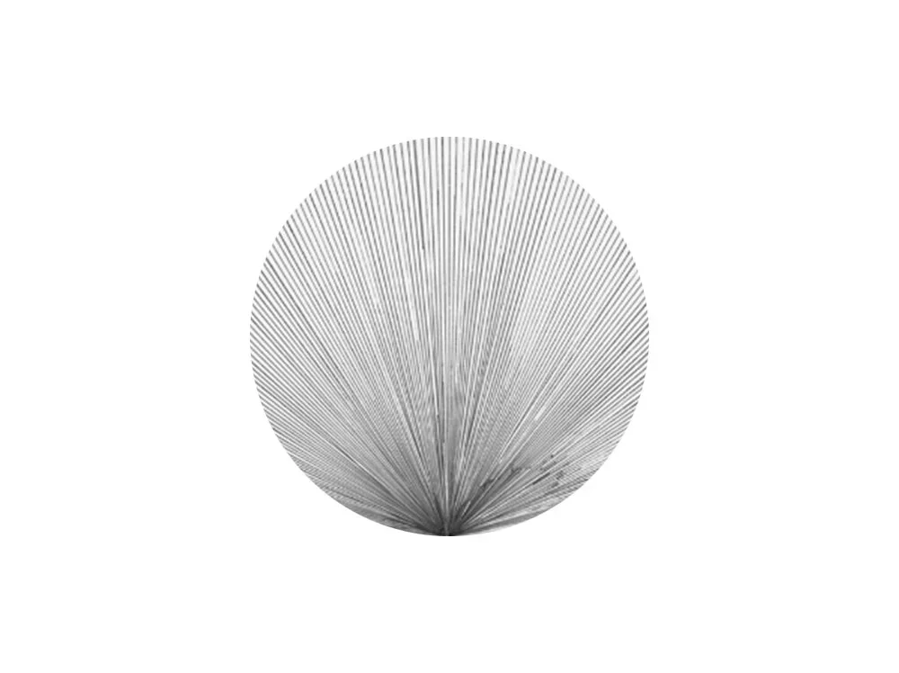 illustr.webp