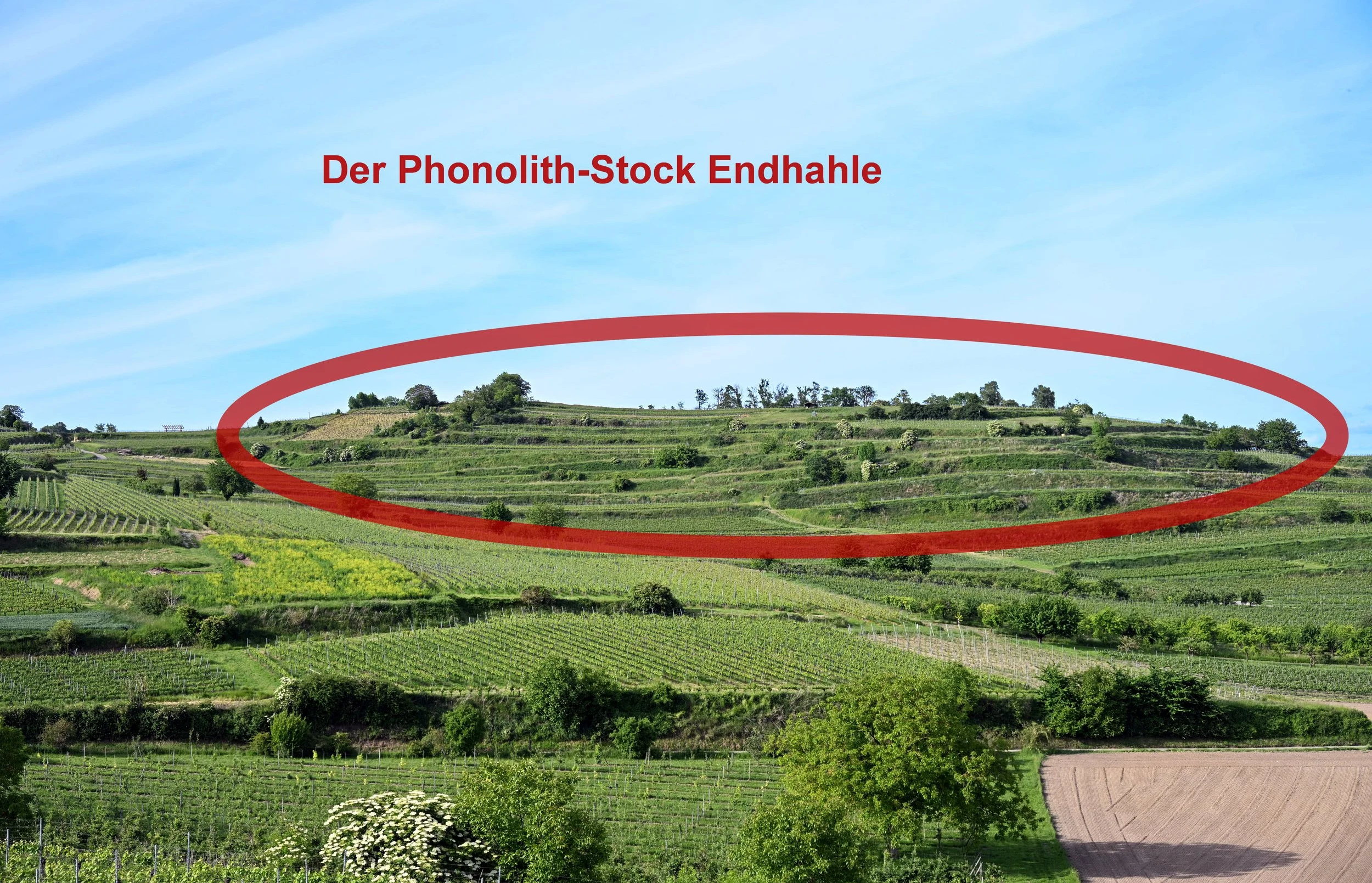 Endhahle_Phonolith