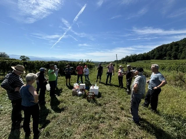 Menschen stehen im Kreis in einer landwirtschaftlichen Landschaft mit Weinbergen, bei schönem Wetter, Übergangsstimmung für ein Treffen oder eine Veranstaltung.