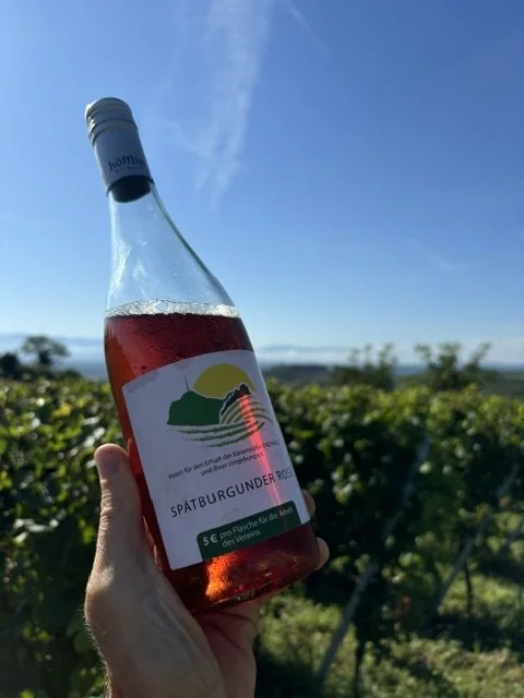 Eine Hand hält eine Flasche Roséwein vor einem Weinberg bei sonnigem Himmel.
