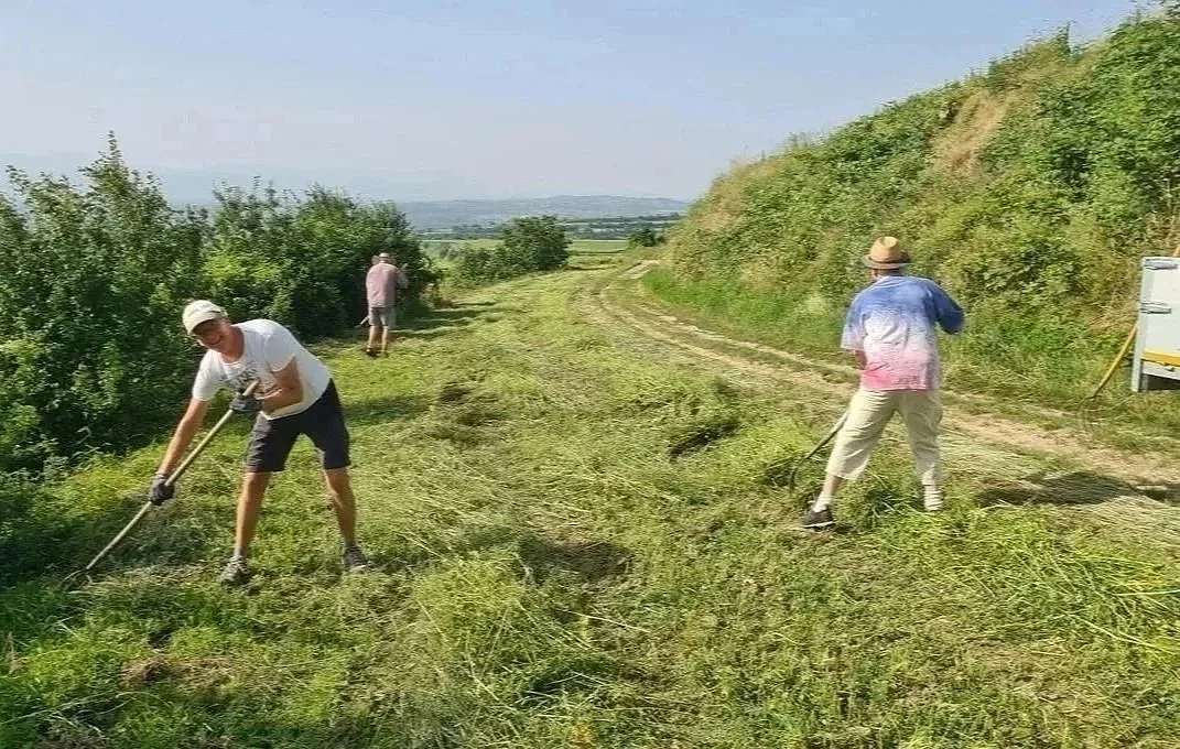 Archewiesen Endhahle am Kaiserstuhl