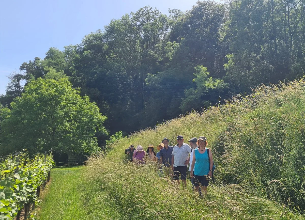 Schambachtal-Wanderung mit BUND