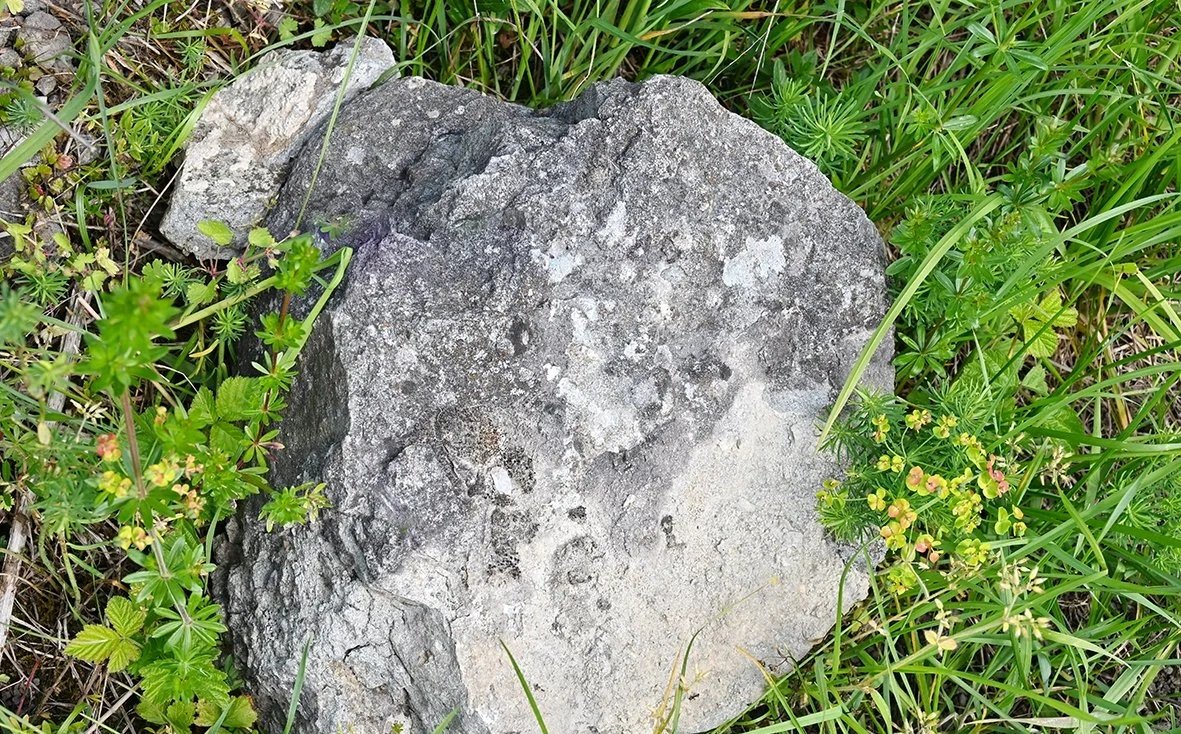 Geplanter Phonolithabbau am Kaiserstuhl im Bereich der Endhahle im Schambachtal Bötzingen und Eichstetten.