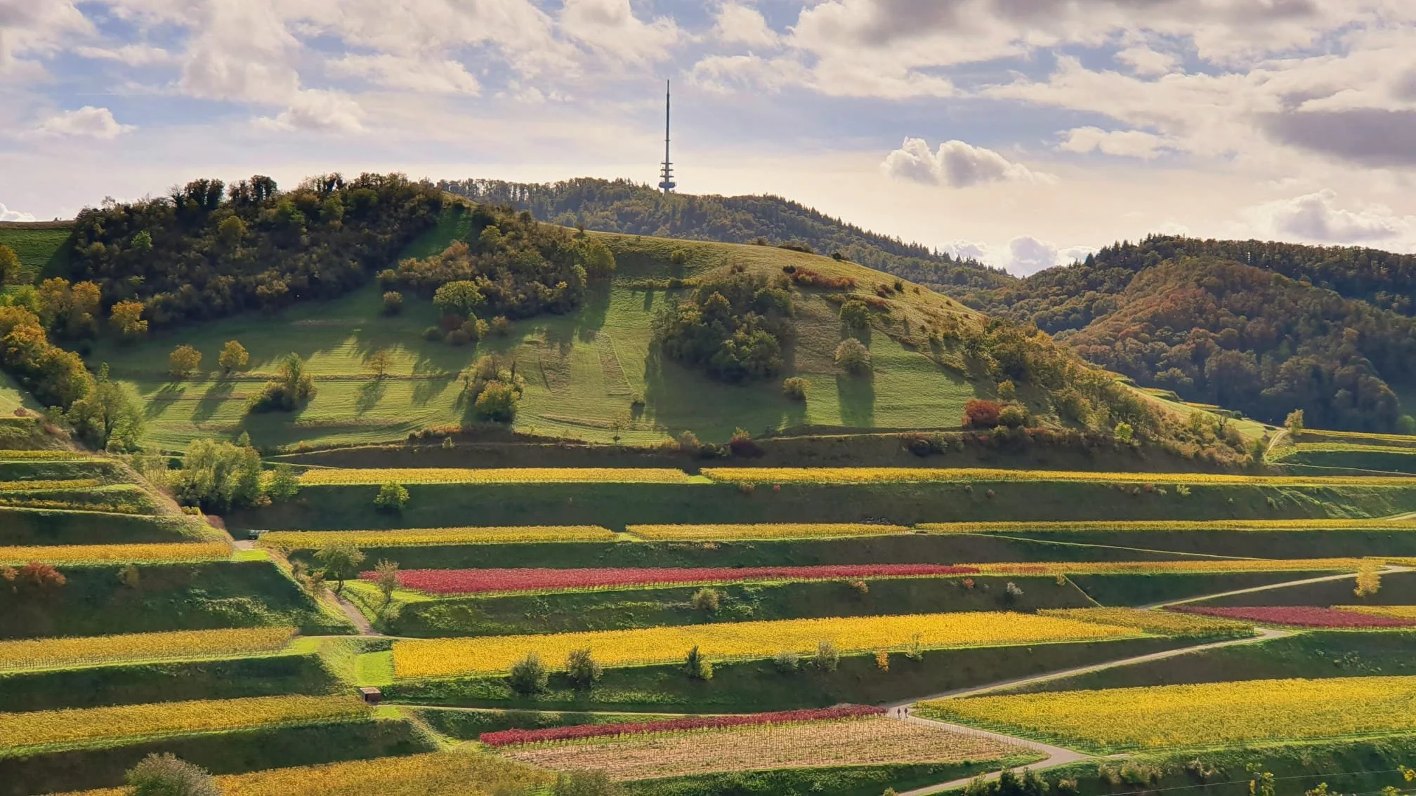 Blick auf eine hügelige Landschaft mit bunten Feldern und Wäldern, im Hintergrund ein Fernsehturm auf einem Hügel, bei sonnigem Himmel mit Wolken.