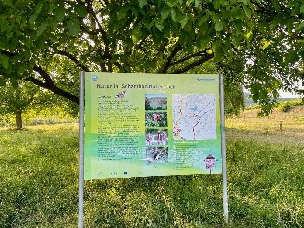 Informationsschild im Grünen, mit einer Karte, Texten und Fotos über die Natur im Schambachtal, unter einem Baum aufgestellt.