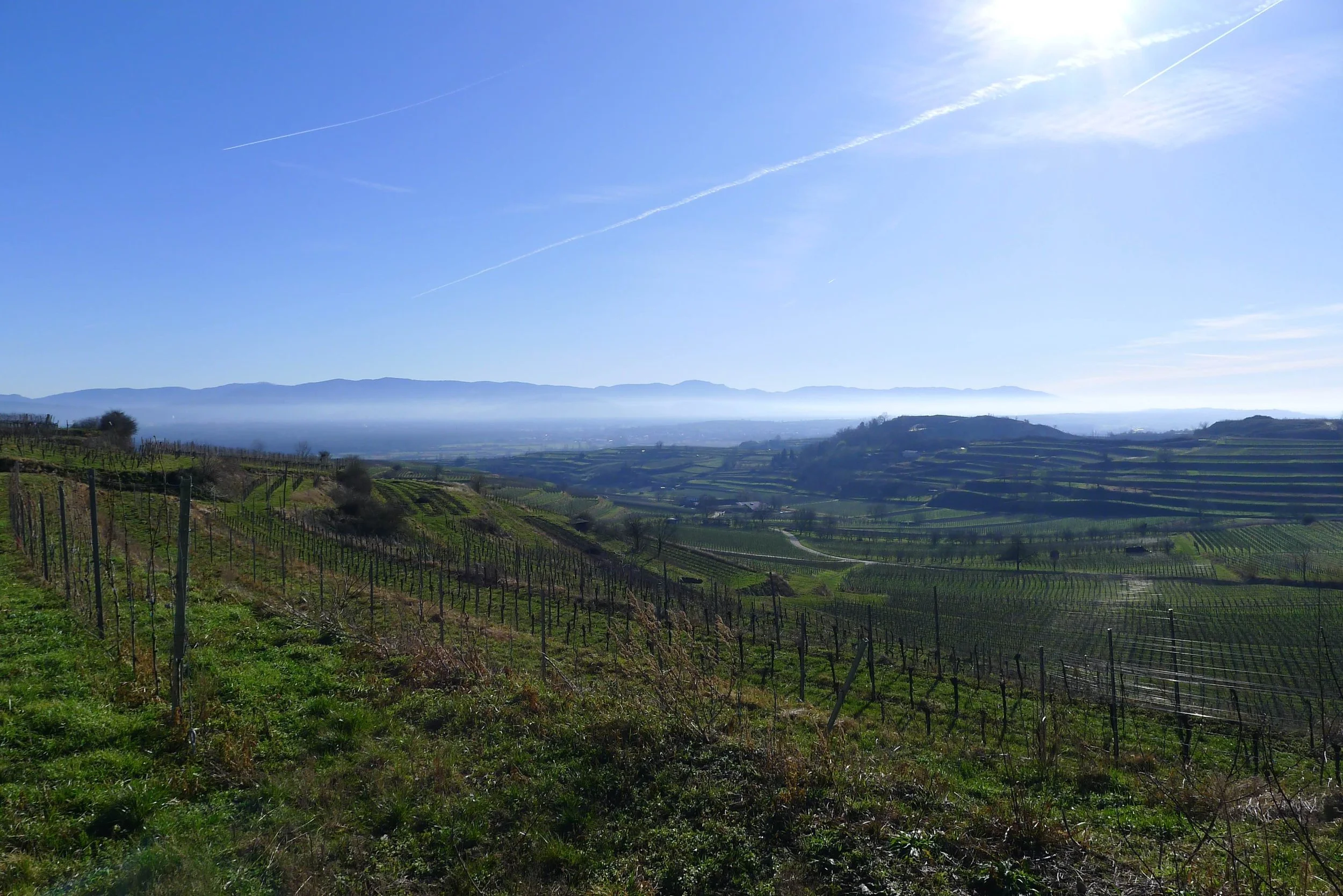 Blick vom Schambachtal auf den Schwarzwald