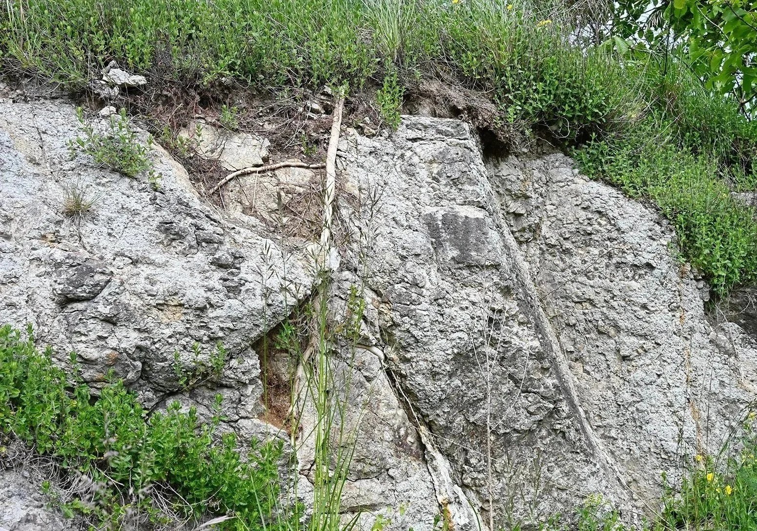 Geplanter Phonolithabbau am Kaiserstuhl im Bereich der Endhahle im Schambachtal Bötzingen und Eichstetten.