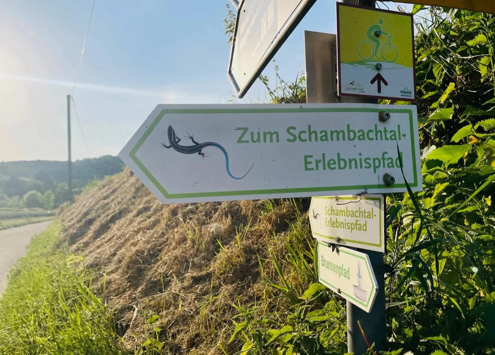 Hinweisschilder am Weg, ein gelber Wegweiser zeigt zum Schambachtal-Erlebnispfad mit einem Gecko-Logo. Weitere Schilder darunter weisen auf den Schambachtal-Erlebnispfad, einen Brunnenpfad und einen Wasserbrunnen hin. Die Schilder sind in einer ländlichen Gegend mit Feldern und Bäumen im Hintergrund. Das Wetter ist sonnig.