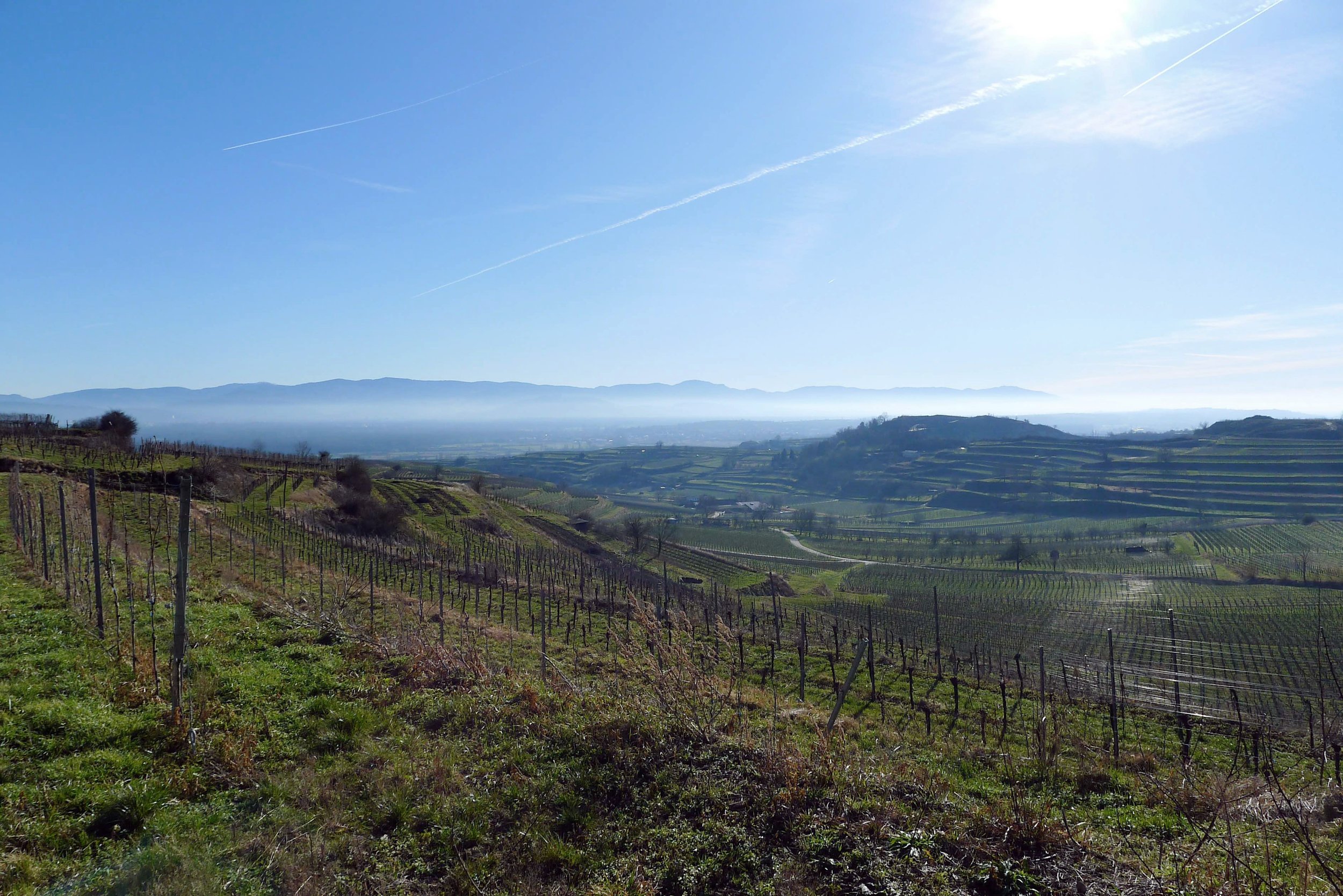 Hügel mit Weinbergen, im Hintergrund Berge, blauer Himmel mit wenigen Wolken und Kondensstreifen