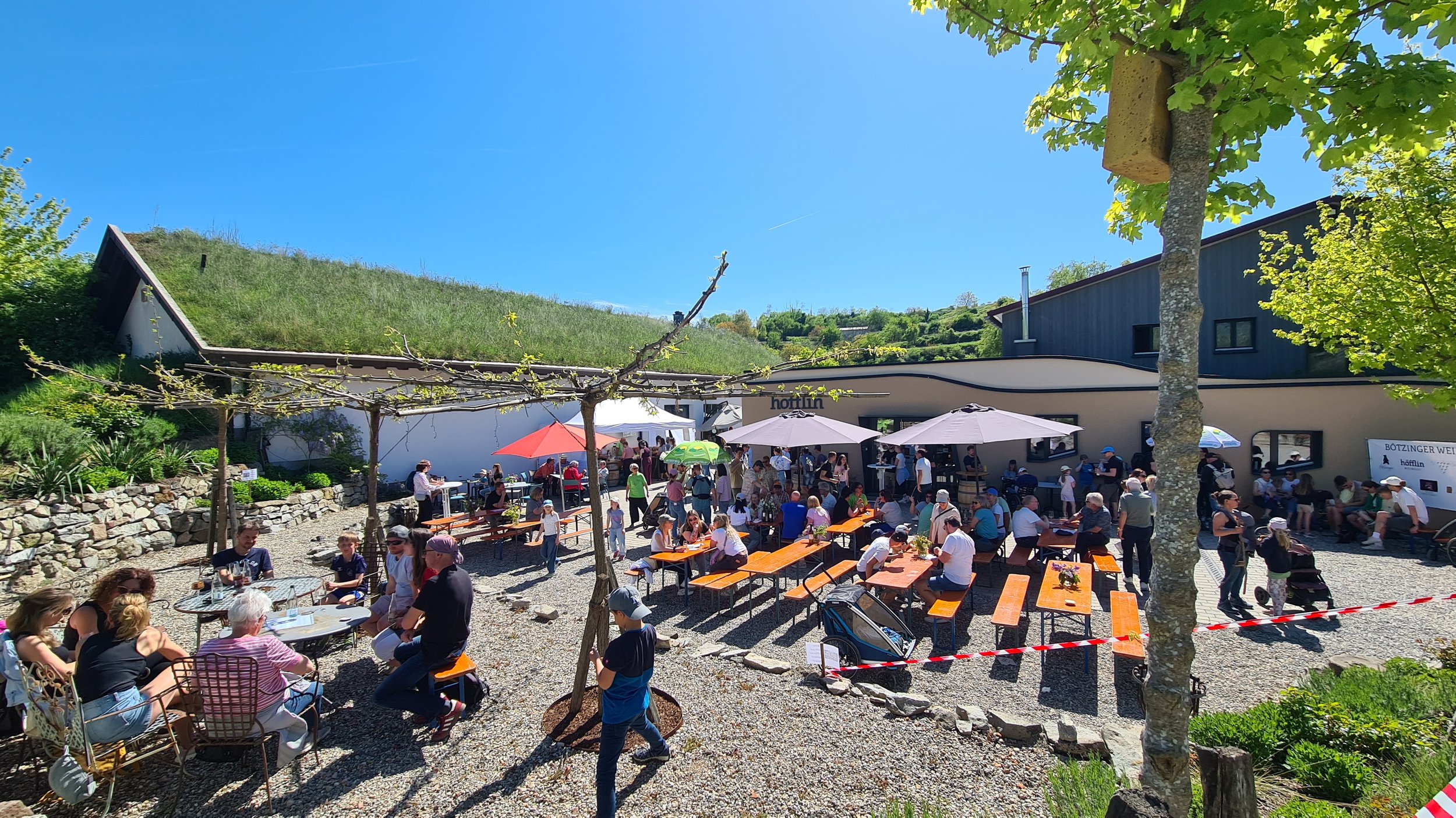 Blick auf eine belebte Außenterrasse eines Restaurants beim sonnigen Wetter. Es sitzen viele Menschen an Tischen, einige gehen umher, im Hintergrund sind Häuser mit begrünten Dächern und grüne Bäume.