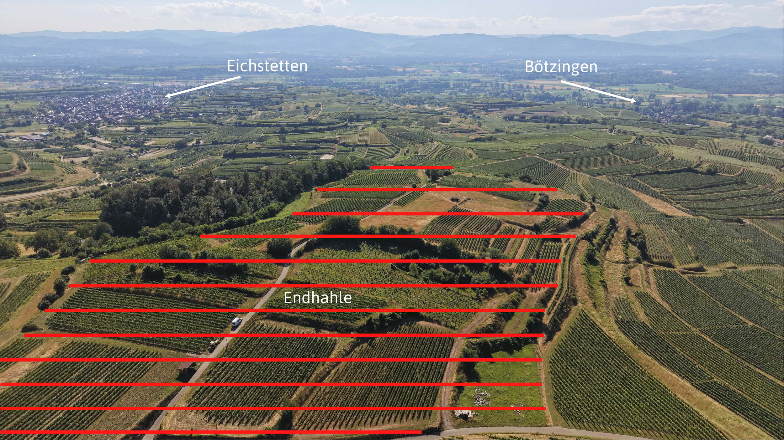 Luftaufnahme einer Weinlandschaft mit markierten Ebenen, die von roten Linien getrennt sind. Orientierungsmarkierungen zeigen die Orte Eichtetten und Bötzingen, sowie die Endhahle.