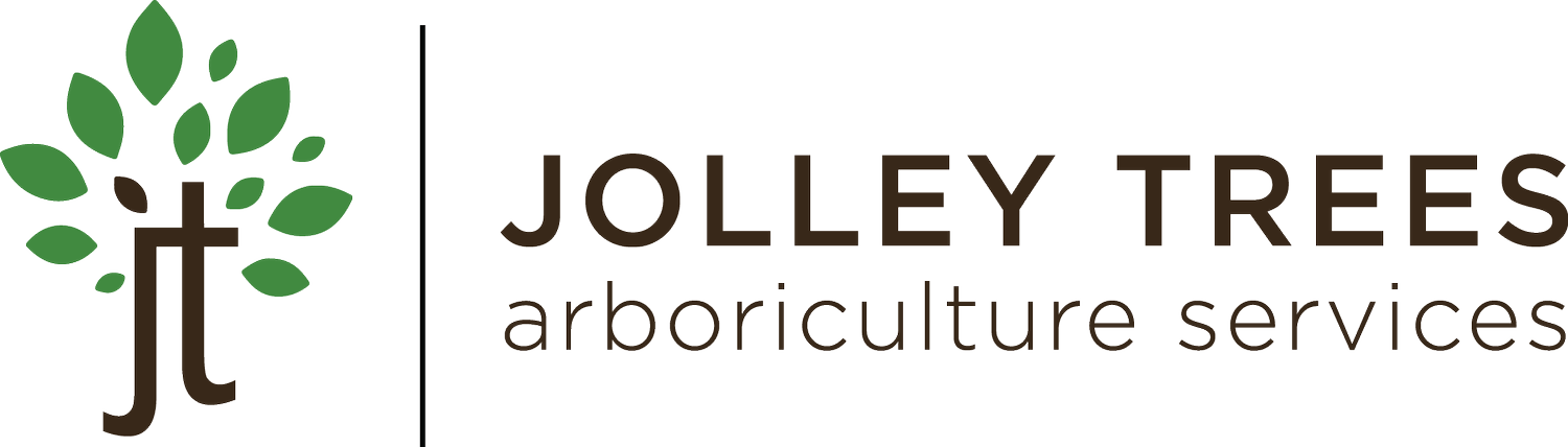 Jolley Trees Pty Ltd 