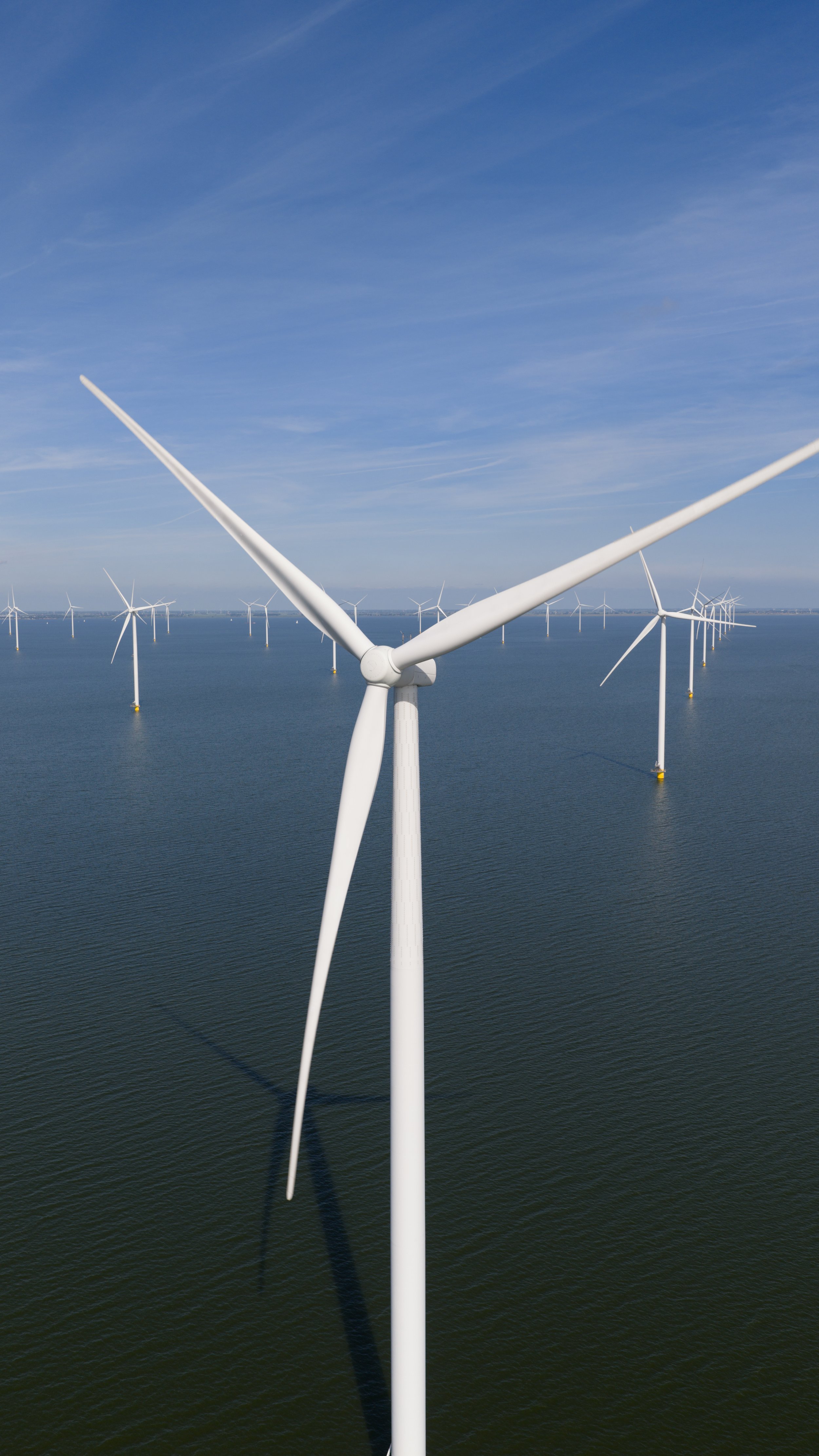 FOTO WIndturb23-1.jpg