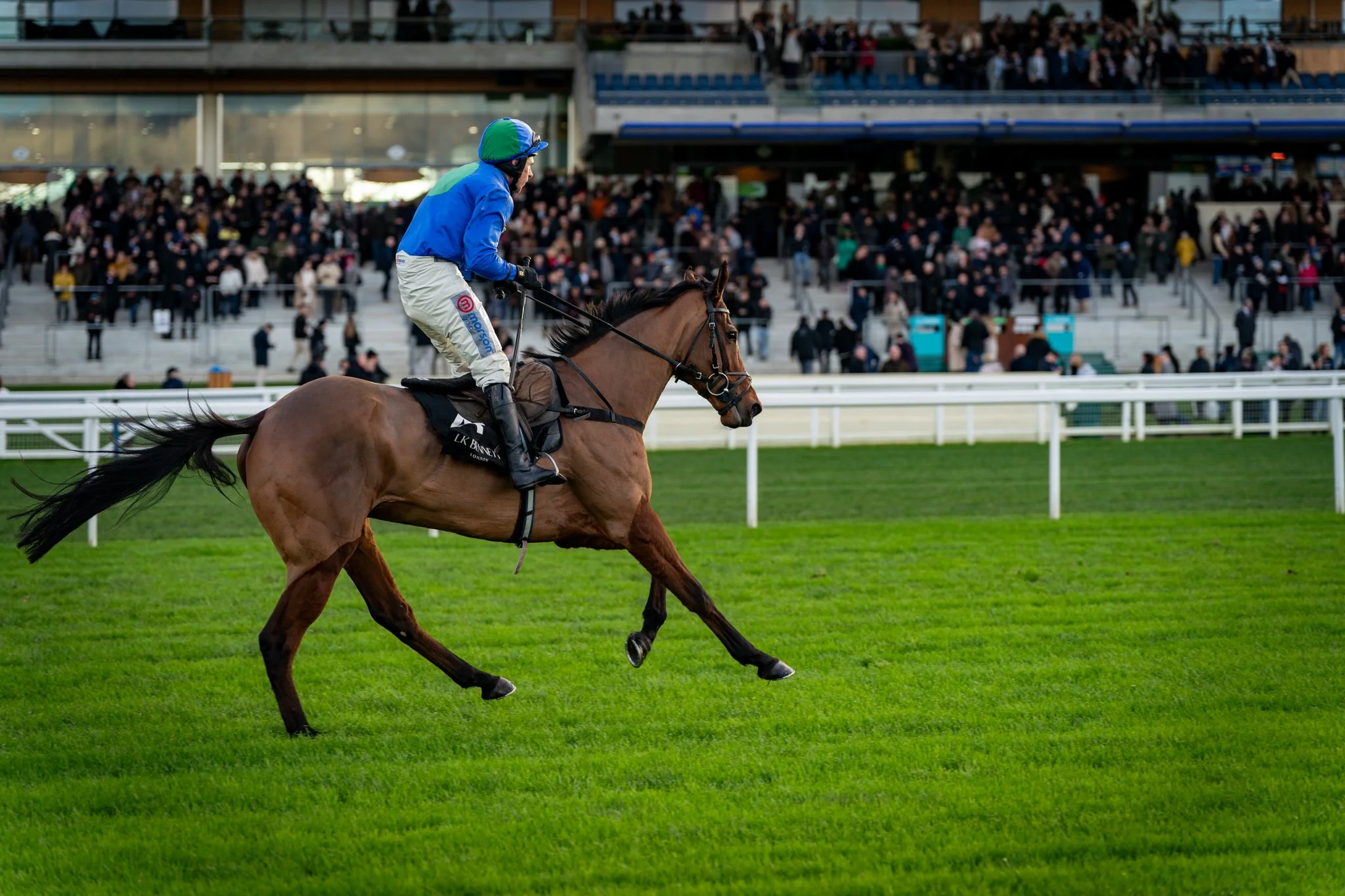 A jockey riding a brown racehorse on a grassy track with spectators in the background.