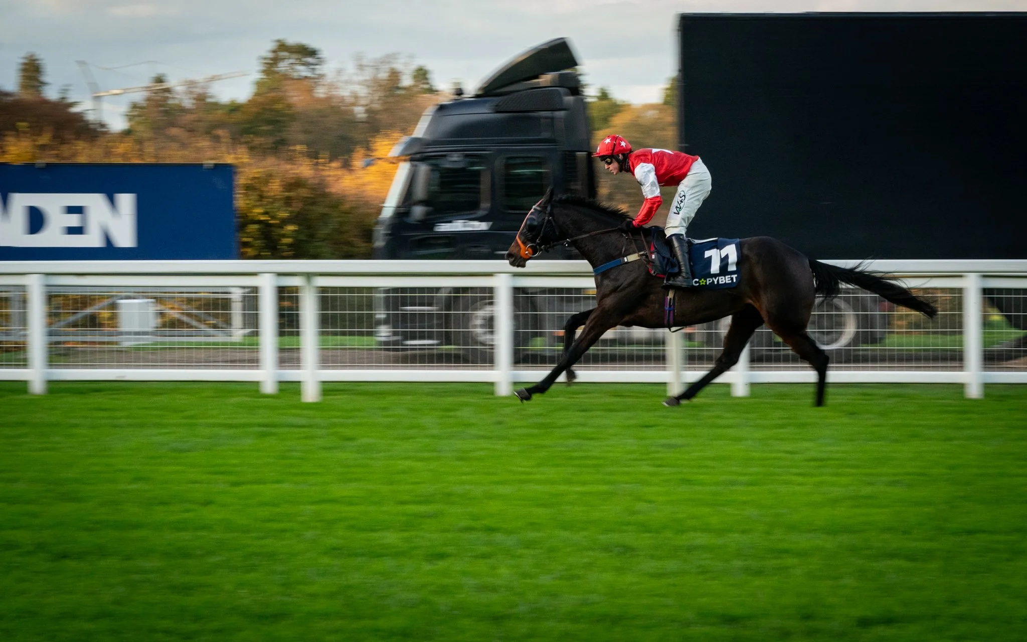A jockey wearing a red helmet and red and white racing silks rides a dark horse with a saddlecloth marked 11, on a racetrack with a grass surface. In the background, there is a truck and a blue sign, with trees displaying fall foliage.