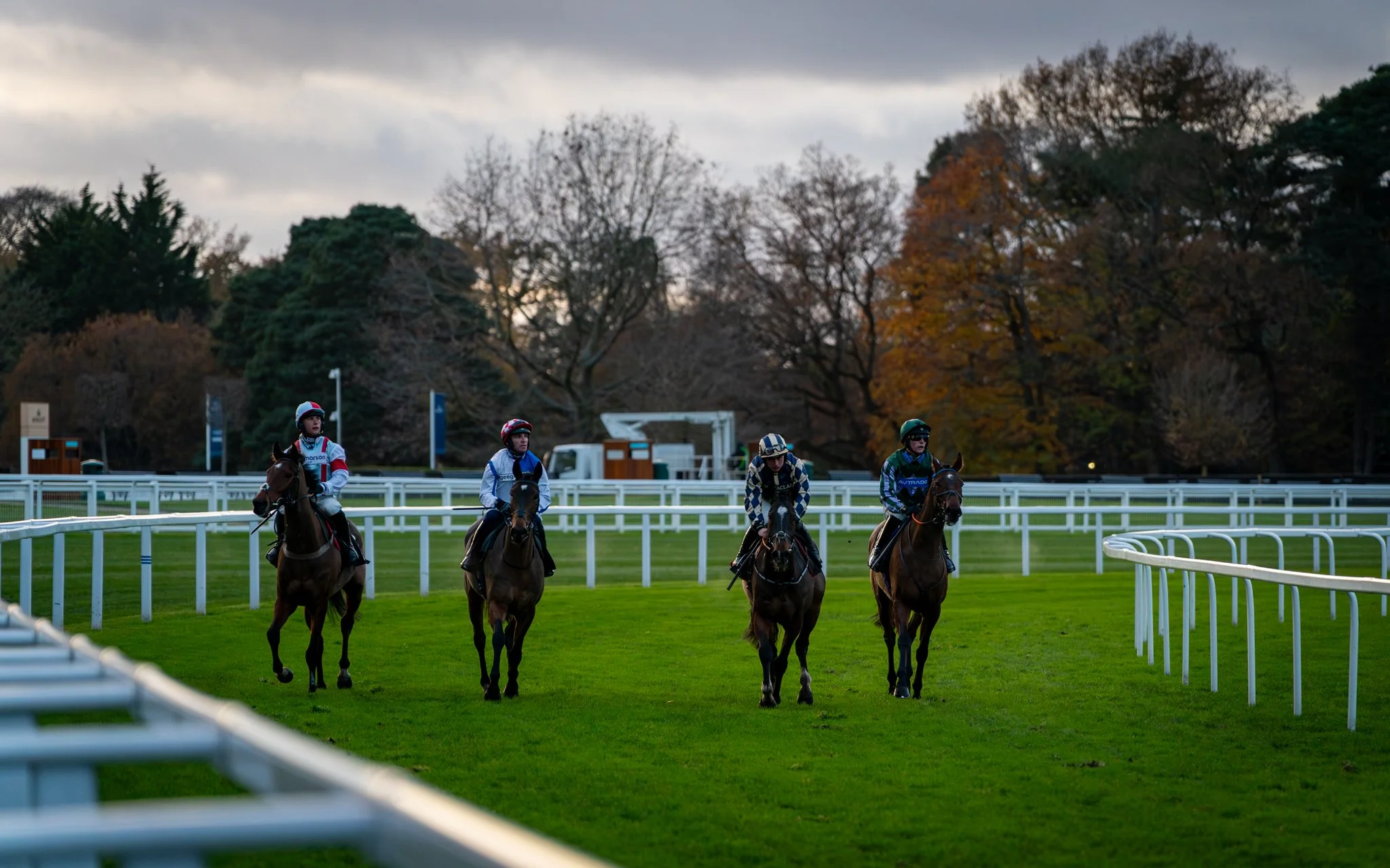 Group of five jockeys riding horses on a grass racetrack with trees and cloudy sky in the background.