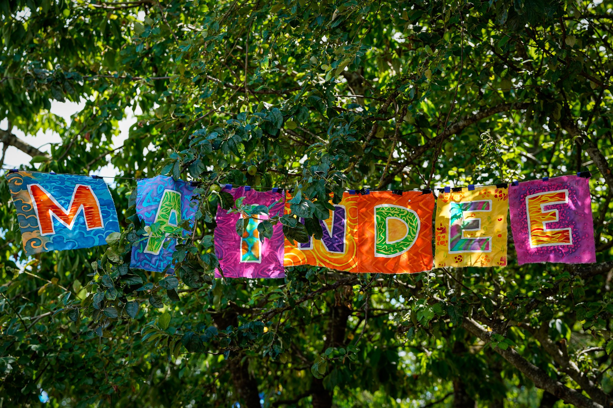 Colorful fabric banners hanging from a tree with green leaves and sunlight filtering through.