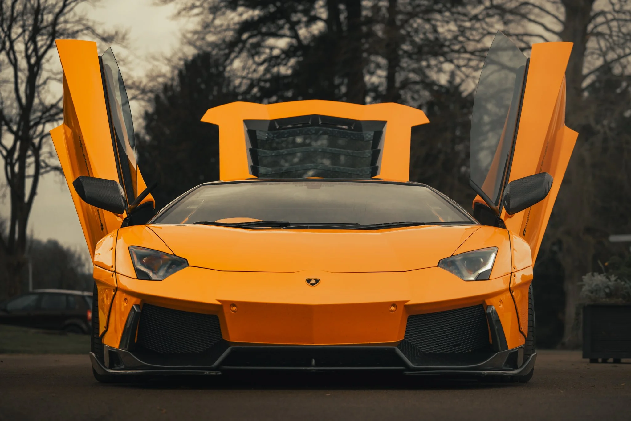 Lamborghini orange, with doors fully open, with trees in background.
