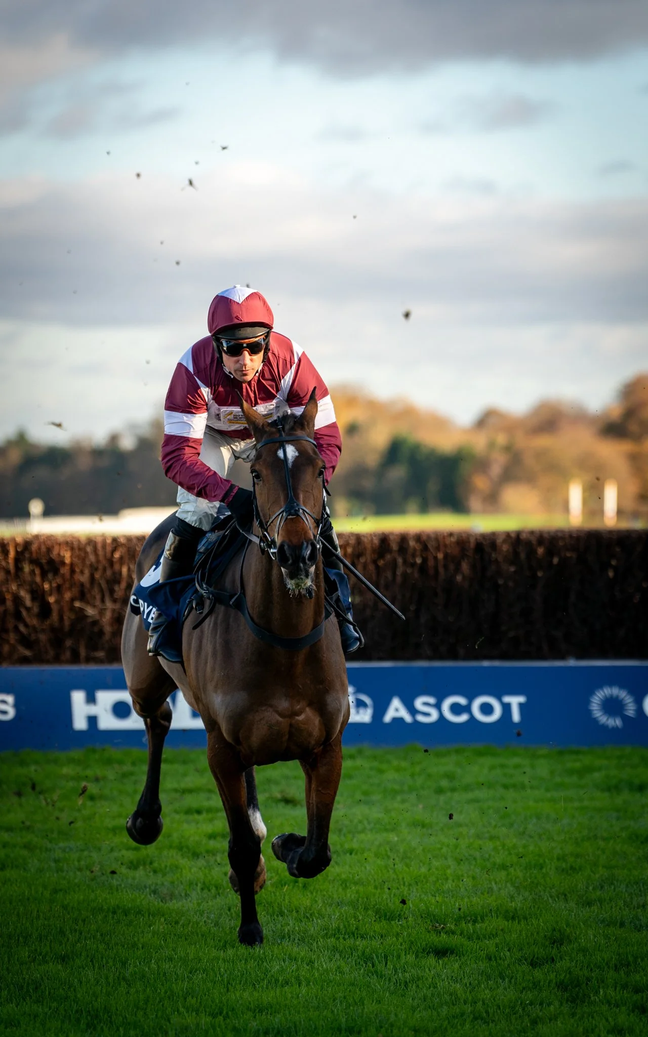 A jockey riding a brown horse during a race at Ascot, with a blue and white sign in the background and a cloudy sky overhead.