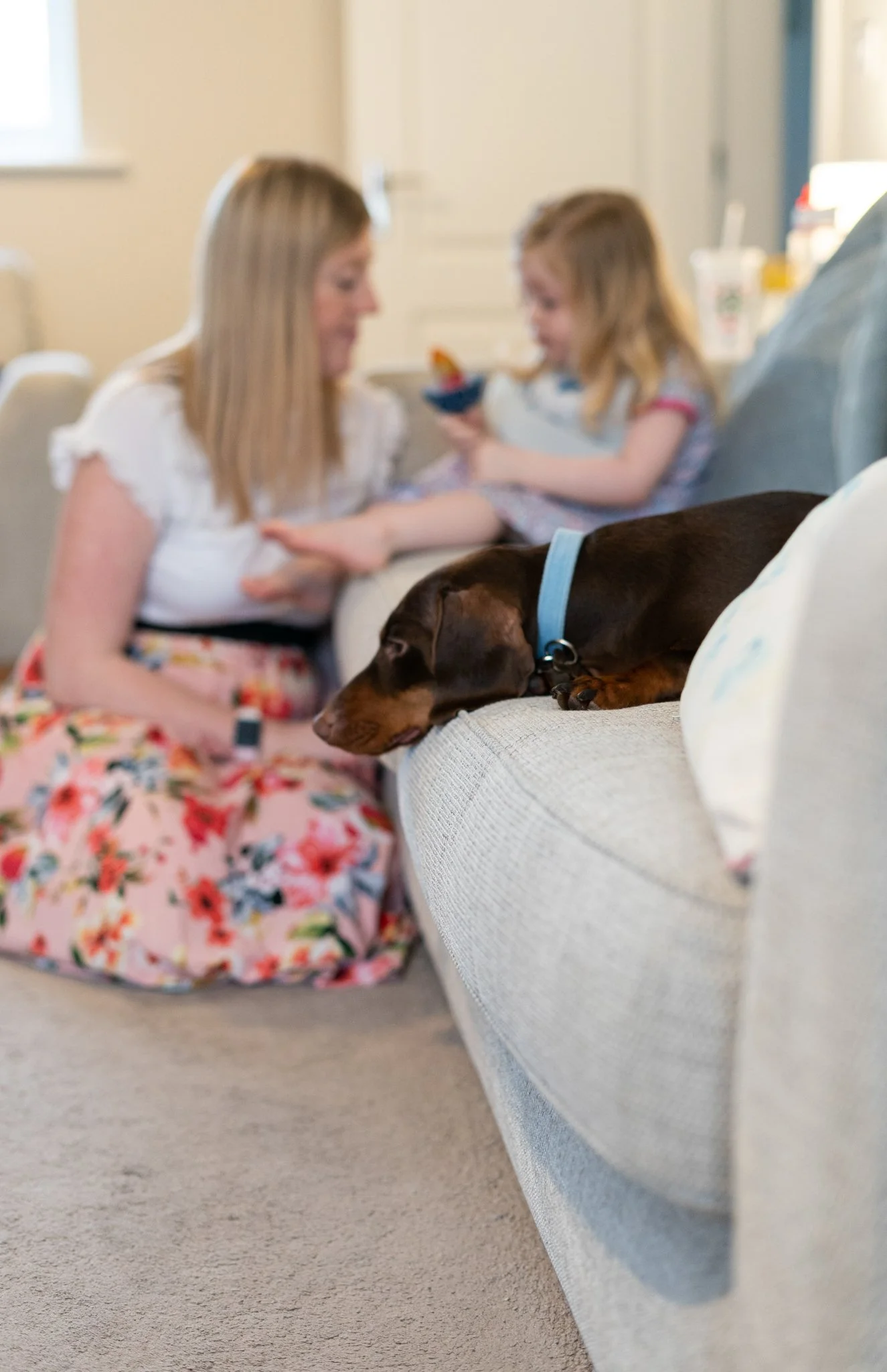 A brown dog with a blue collar lying on a beige sofa in a living room. In the background, a woman with blonde hair and a girl with blond hair are sitting on the floor, with the girl holding a bowl and the woman reaching out towards the dog.