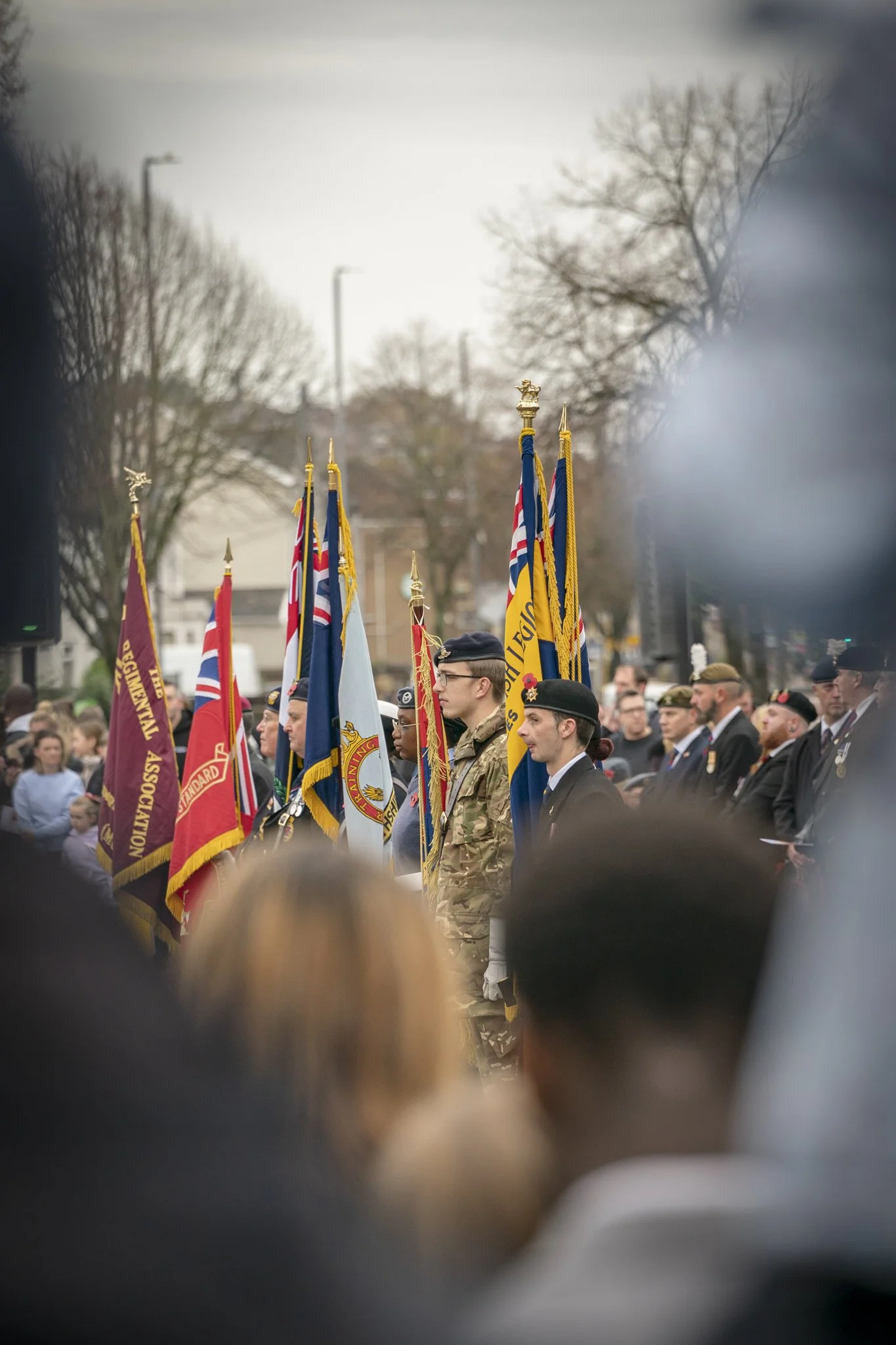 People participating in a parade or memorial event, holding flags and wearing military or uniformed attire on a street lined with trees, with cloudy sky overhead.