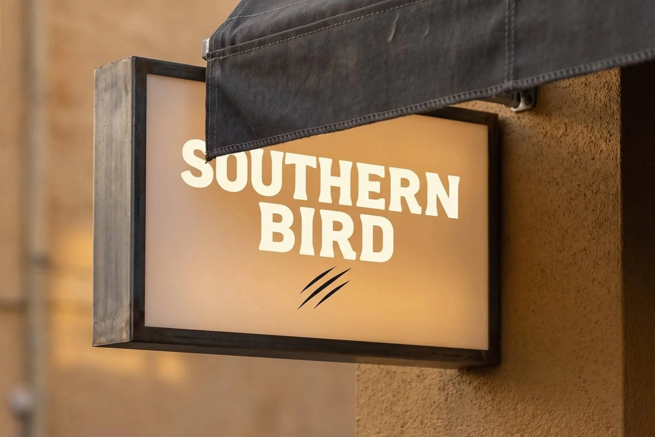Lightbox Sign with the text 'Southern Bird' below black scruffy lines.