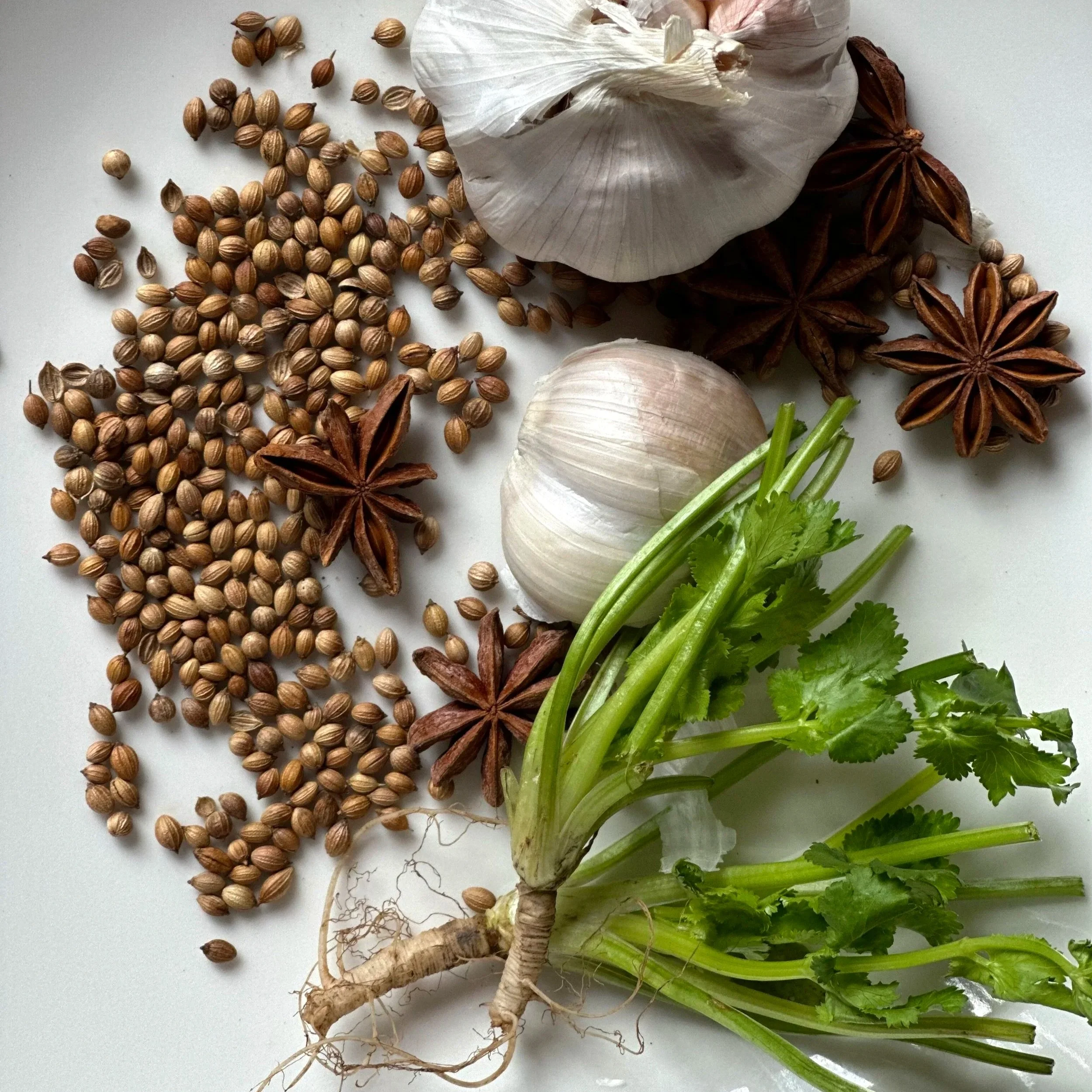 Fresh garlic cloves, garlic bulb, star anise, coriander seeds, and celery stalks on a white surface.